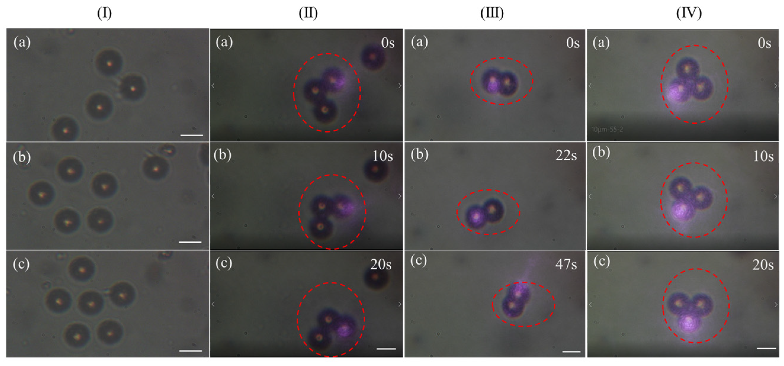 Photonics 11 00248 g003