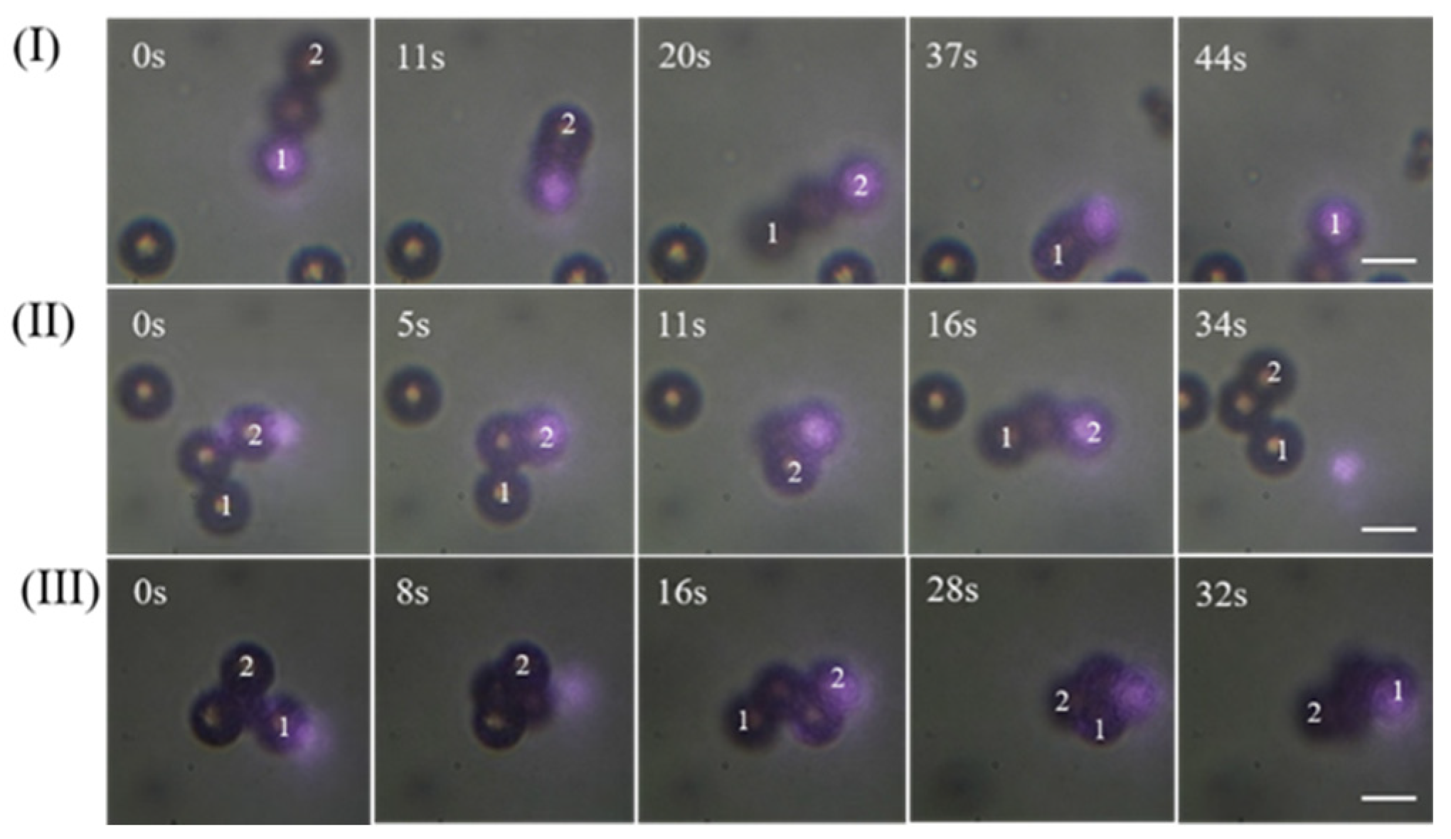 Photonics 11 00248 g004
