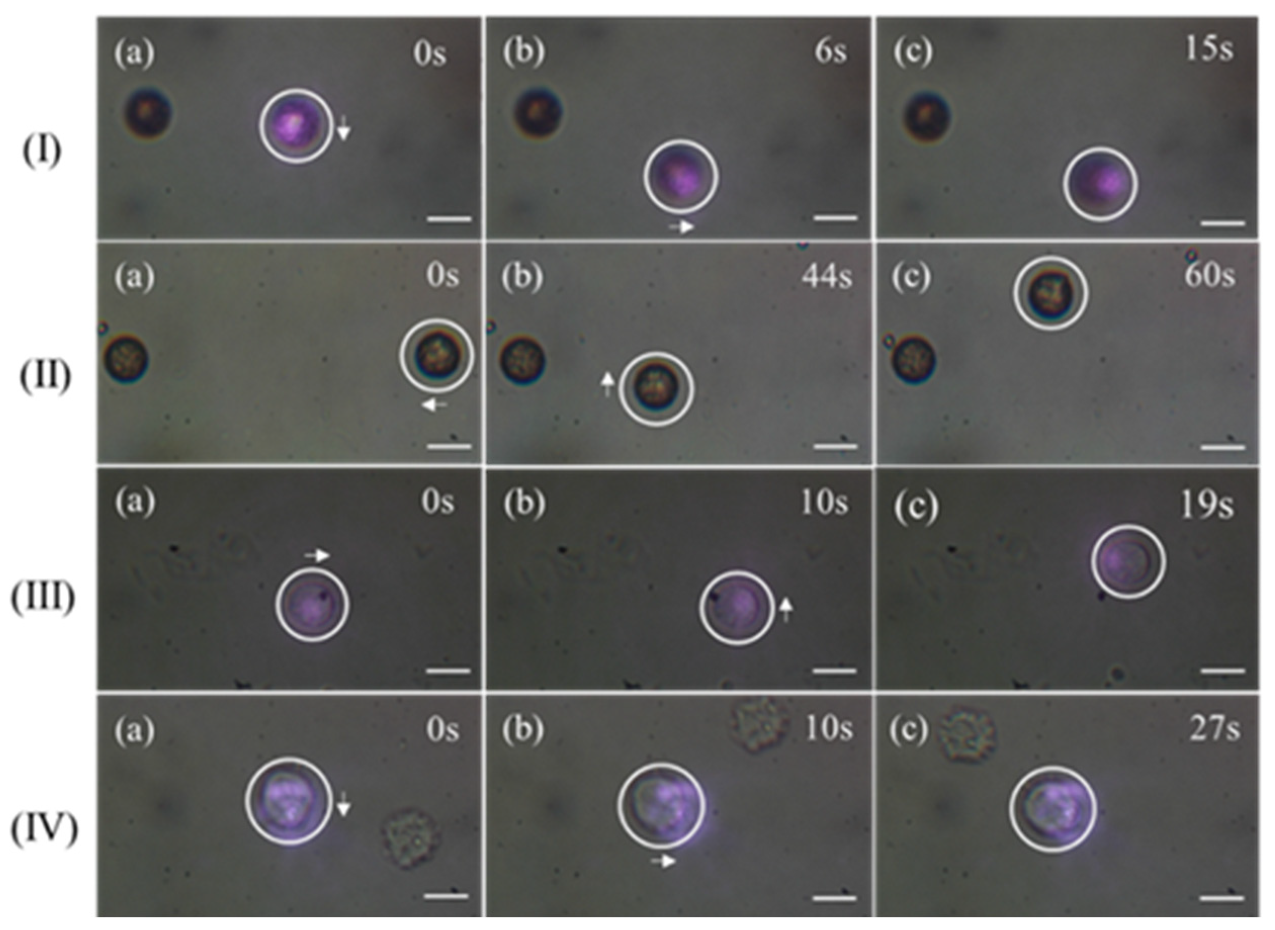 Photonics 11 00248 g005