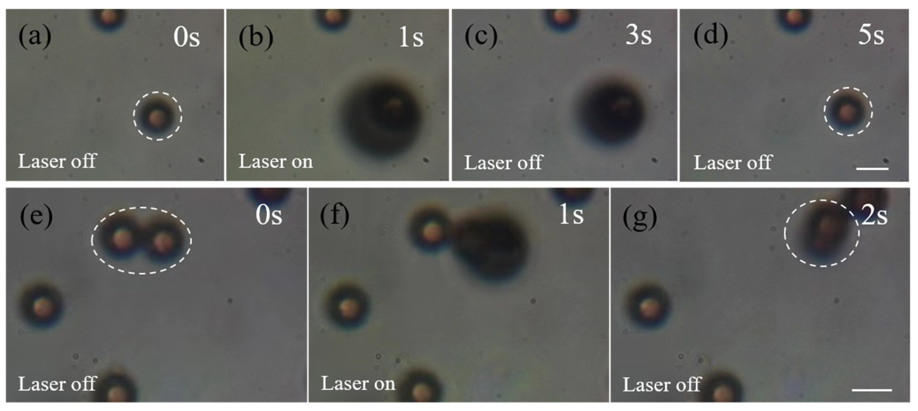 Photonics 11 00248 g006