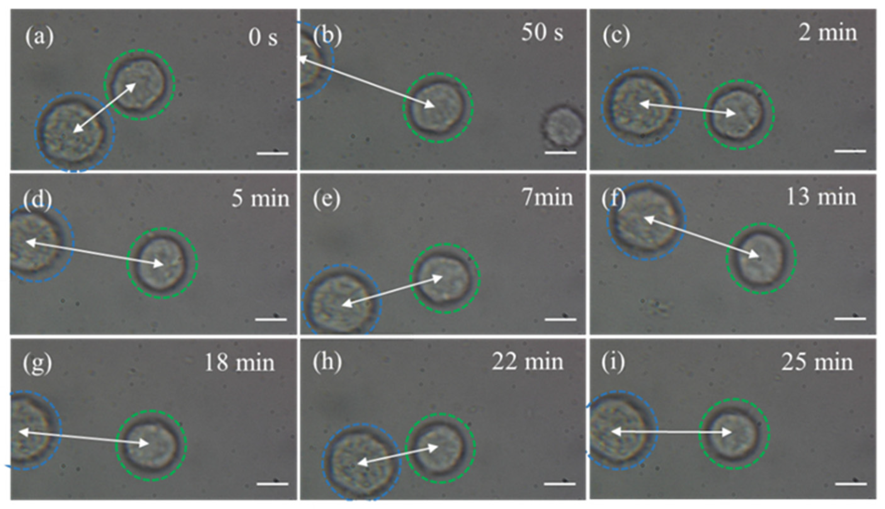 Photonics 11 00248 g007