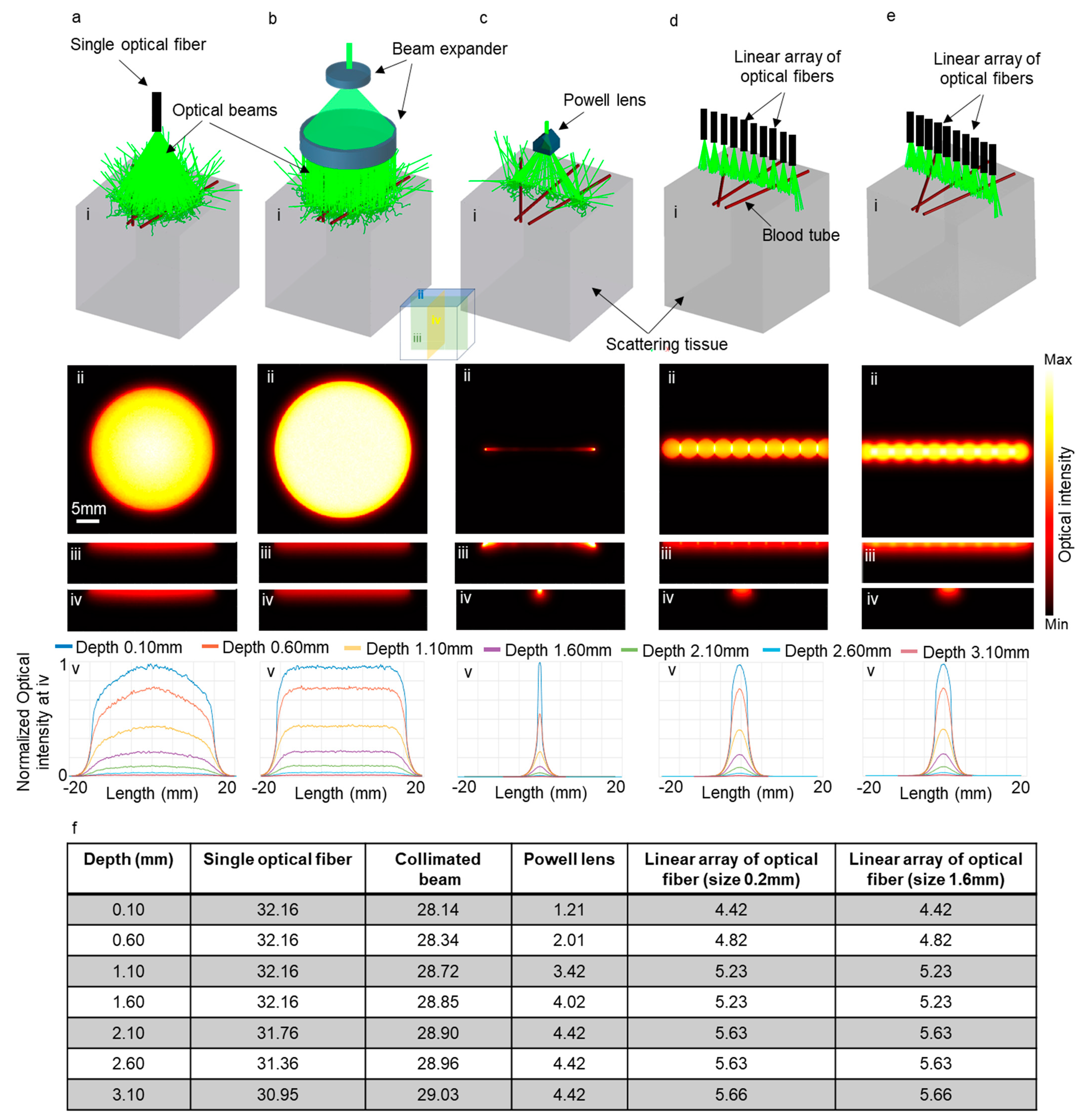 Photonics 11 00288 g006