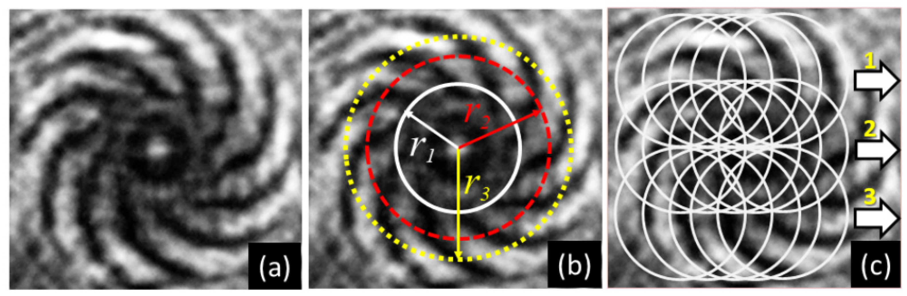 Photonics | Free Full-Text | Characterization of Orbital Angular ...