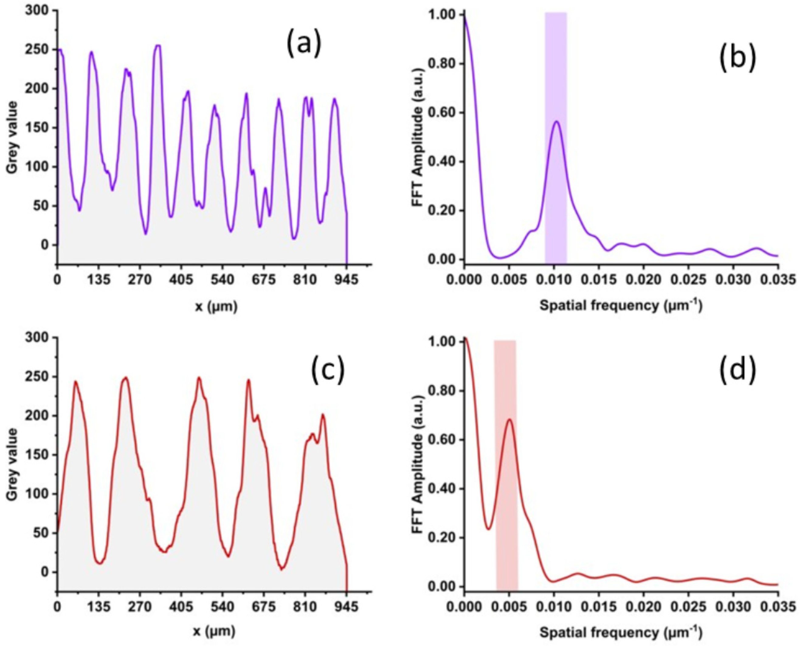Photonics 11 00296 g005