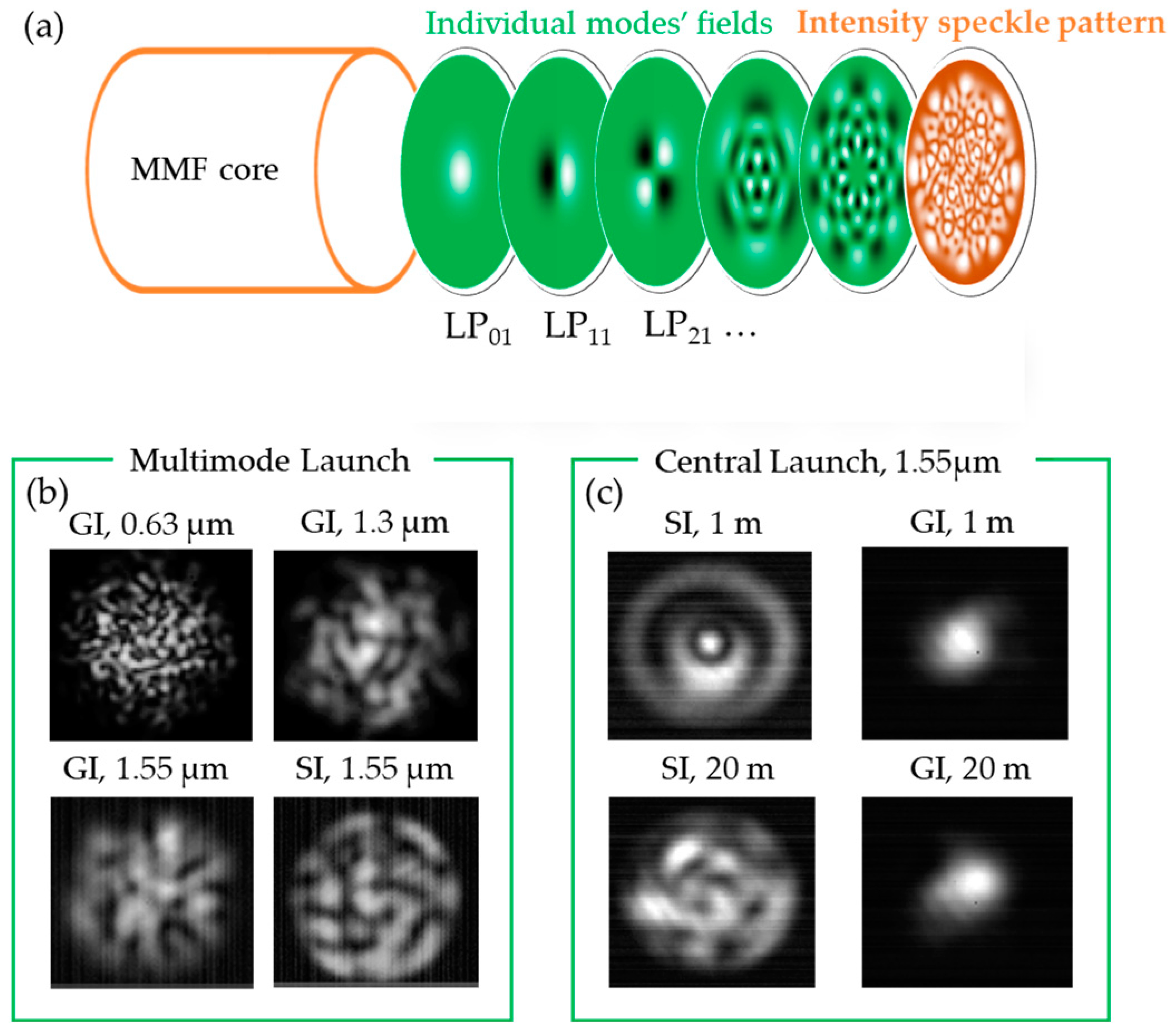 Photonics 11 00299 g002