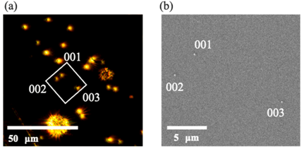 Photonics 11 00310 i001