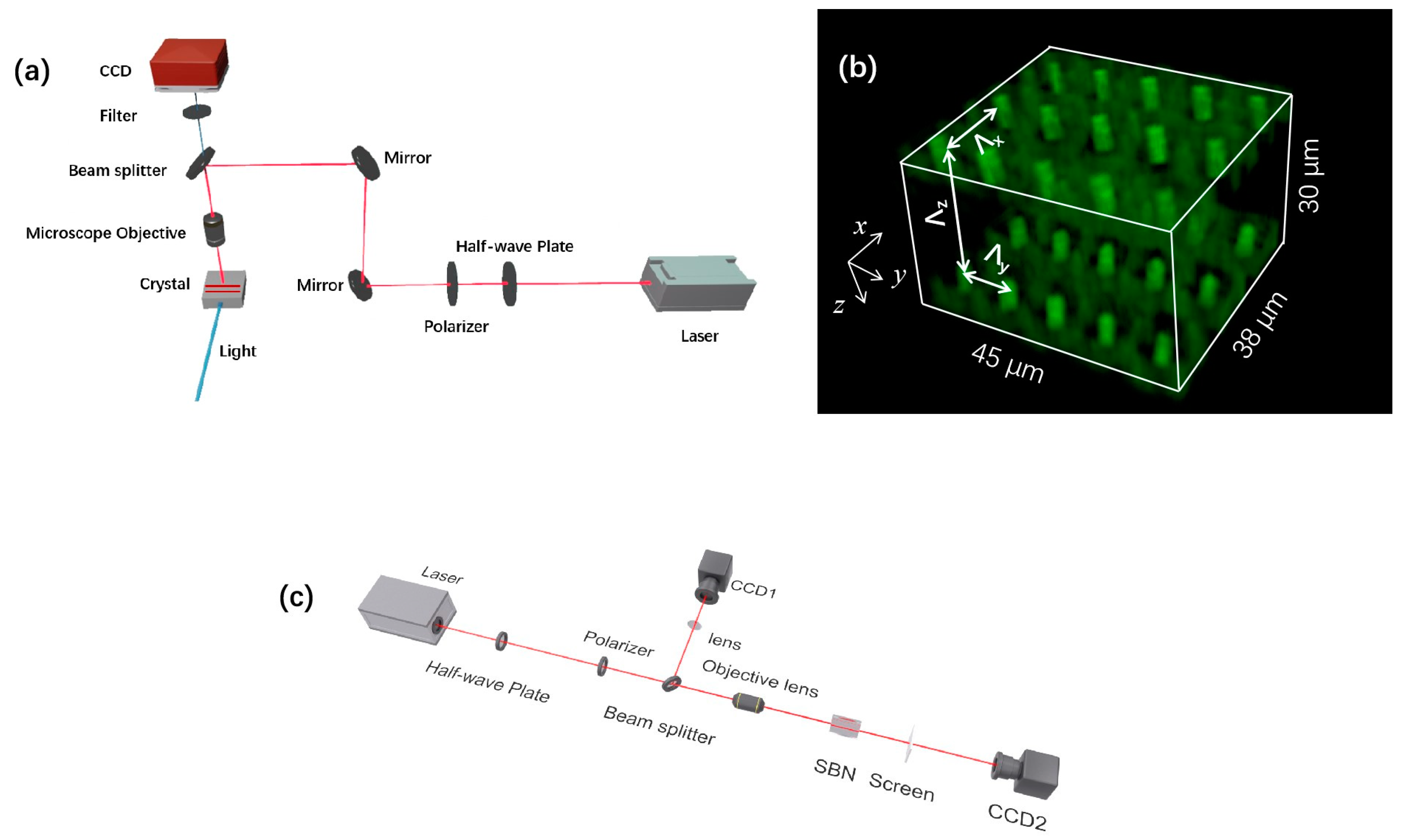 Photonics 11 00313 g002