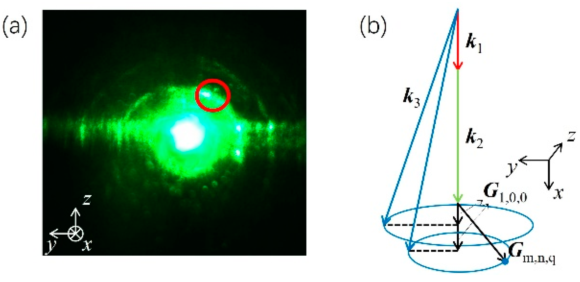 Photonics 11 00313 g005