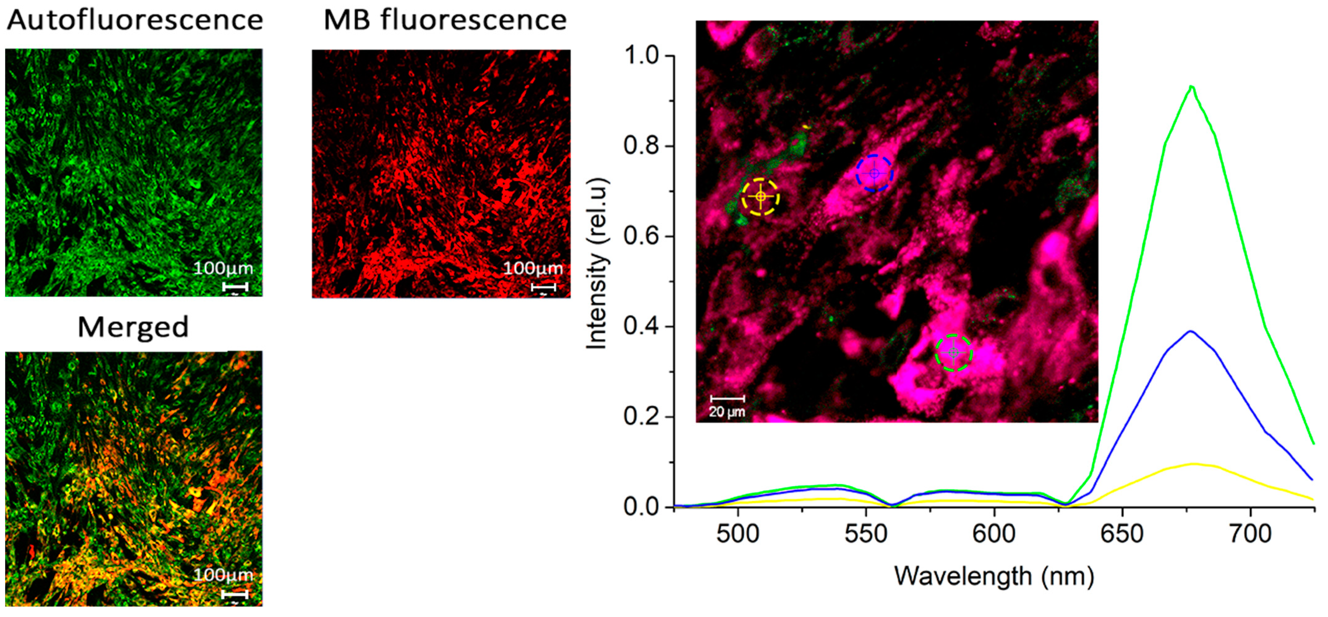 Photonics 11 00316 g003