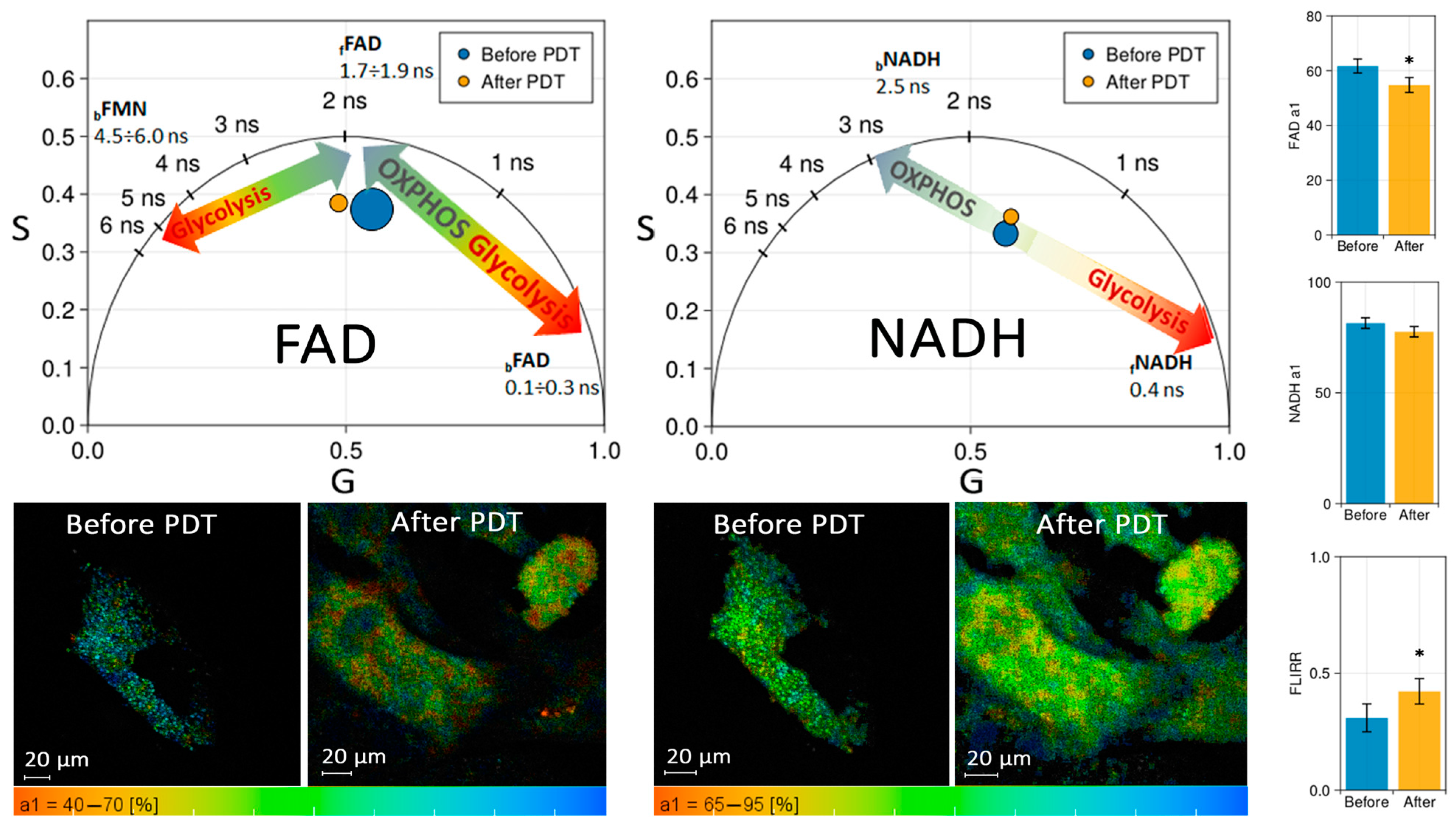 Photonics 11 00316 g006