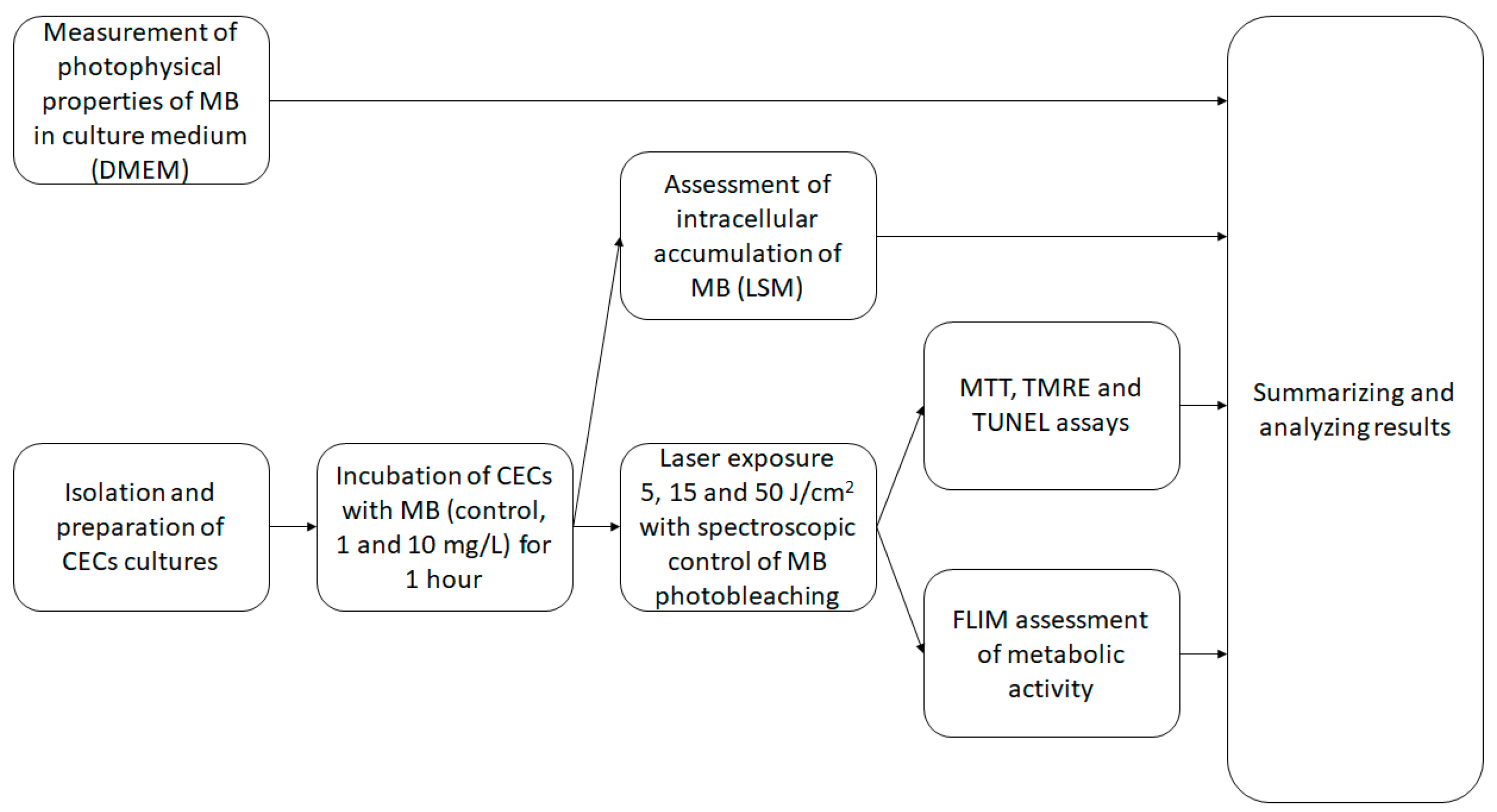 Photonics 11 00316 g007