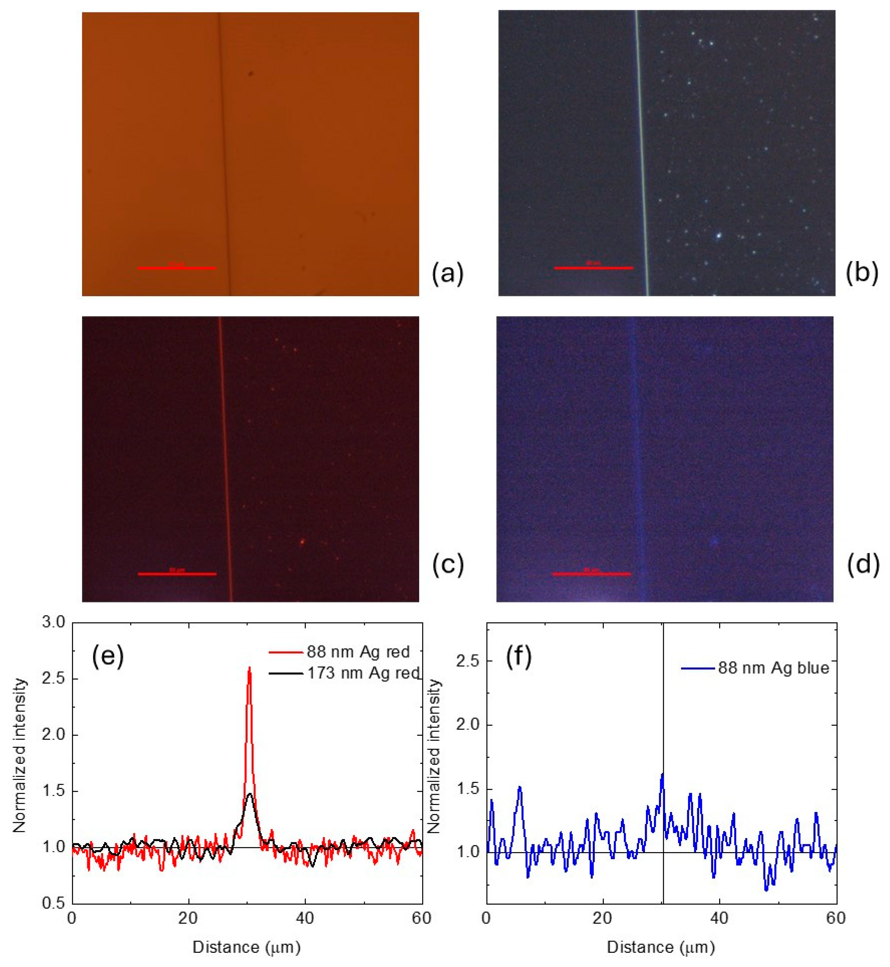 Photonics 11 00339 g004