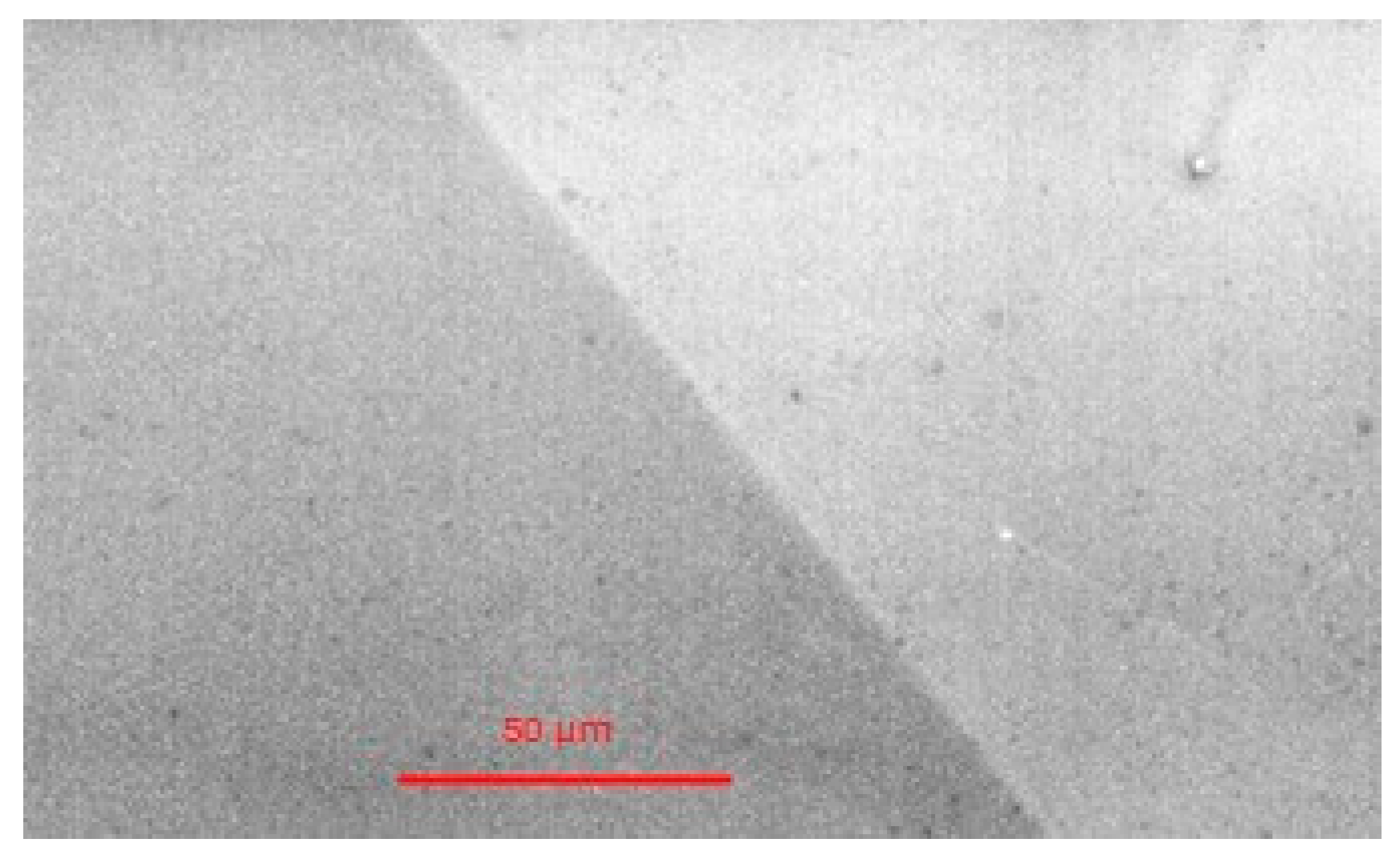 Photonics 11 00339 g005