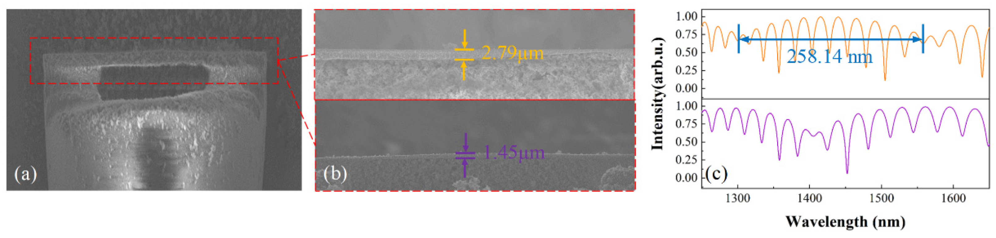 Photonics 11 00354 g002
