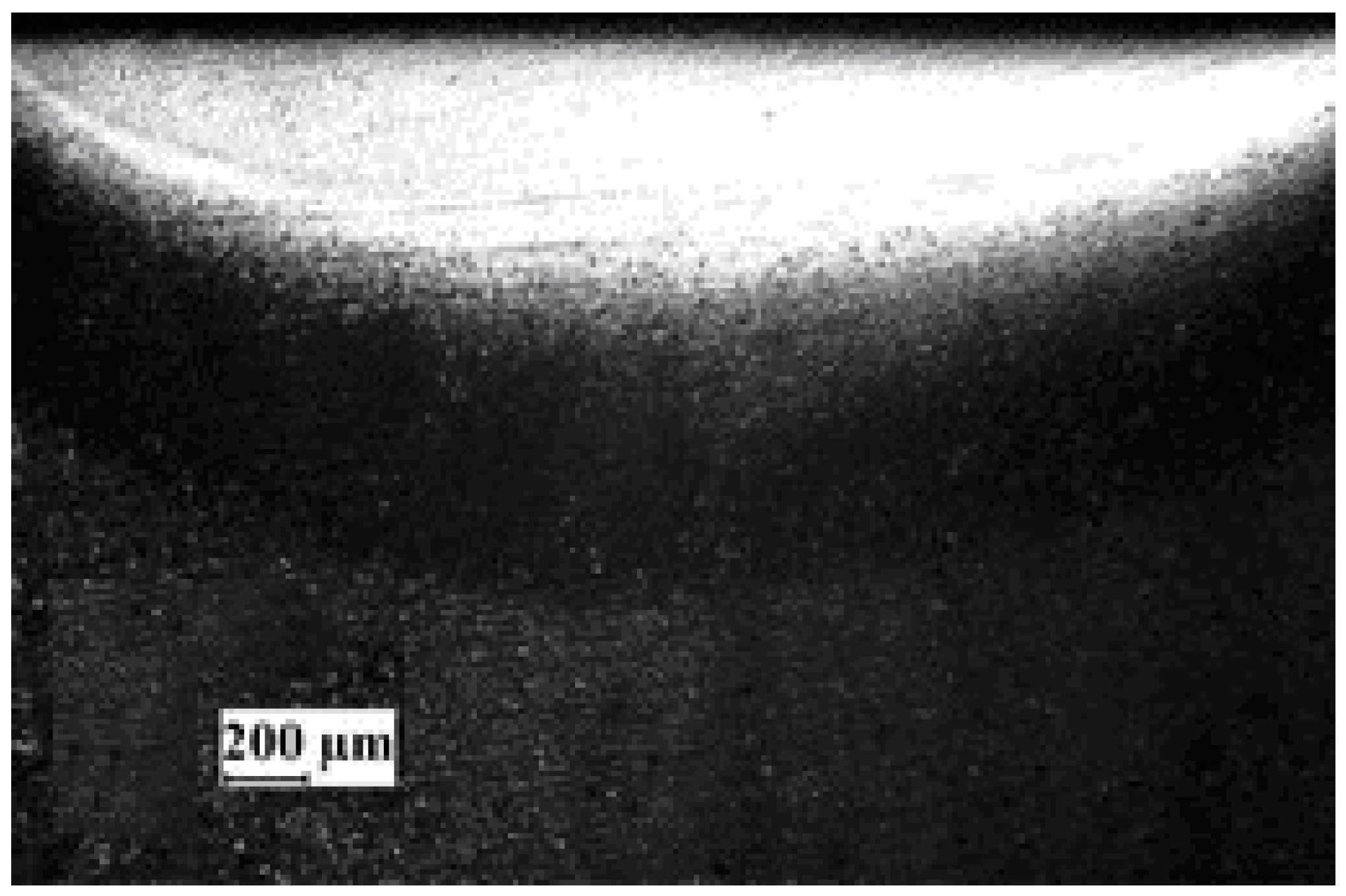 Photonics 11 00382 g010