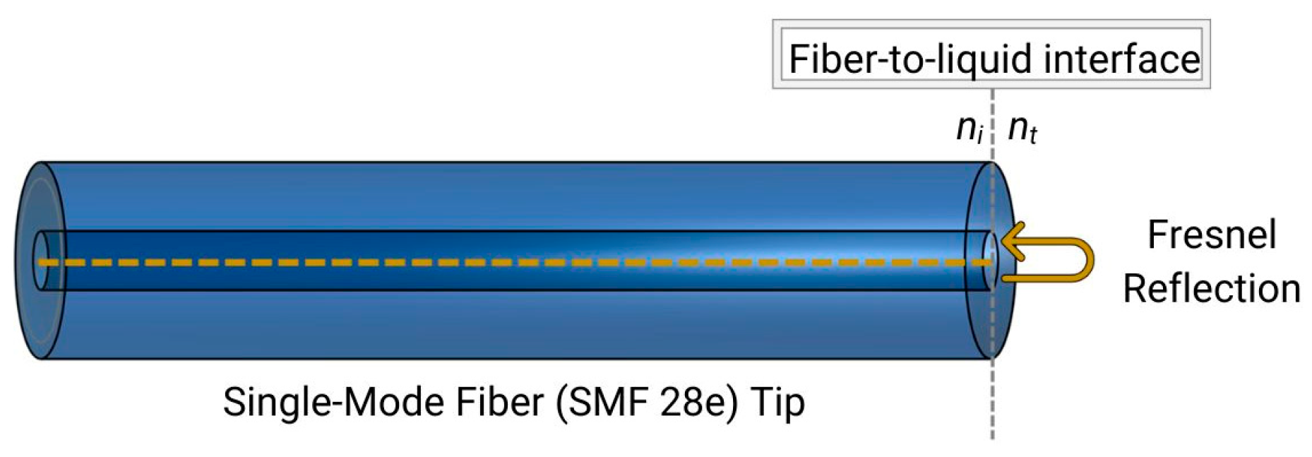 Photonics 11 00393 g002
