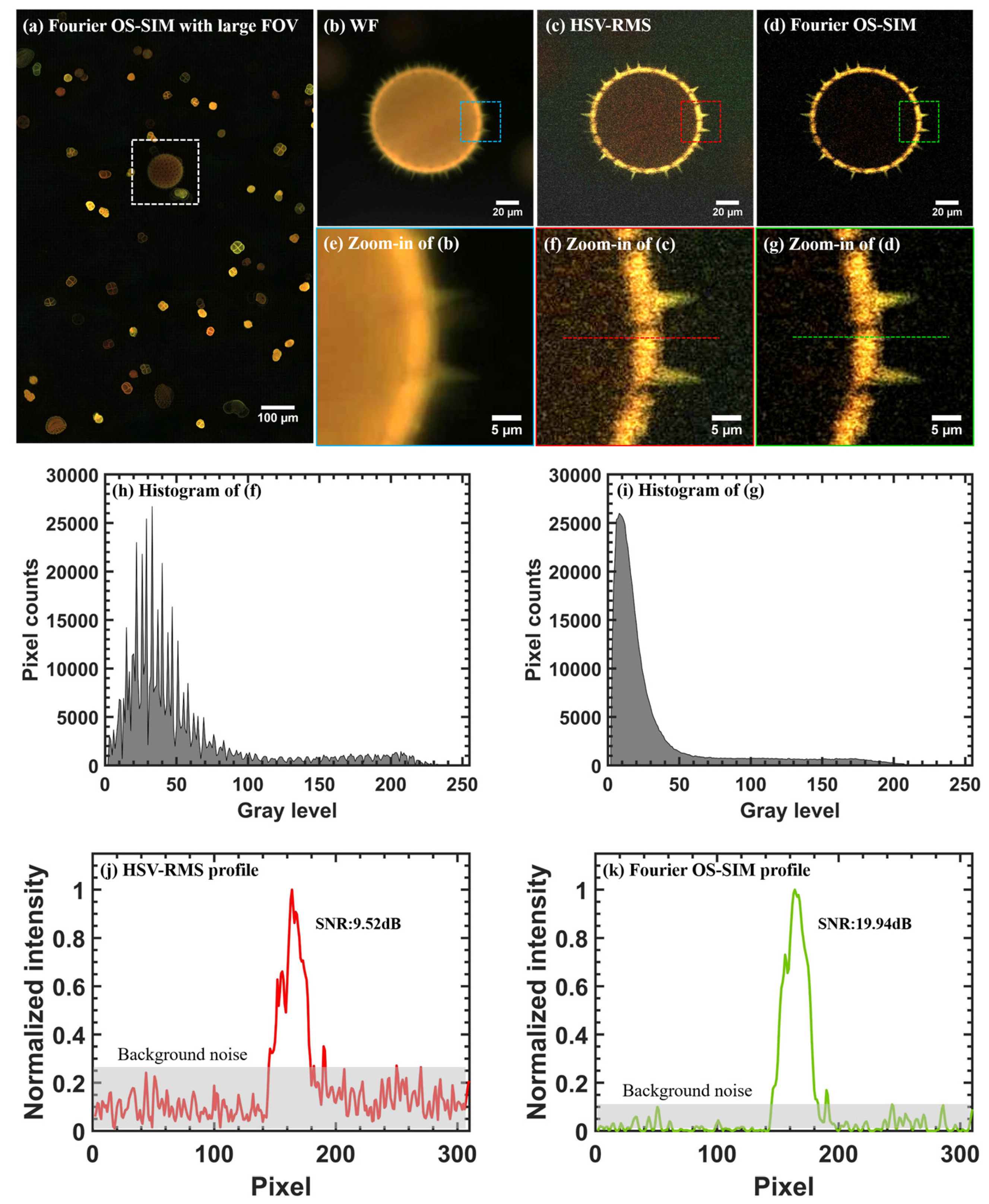 Photonics 11 00405 g003