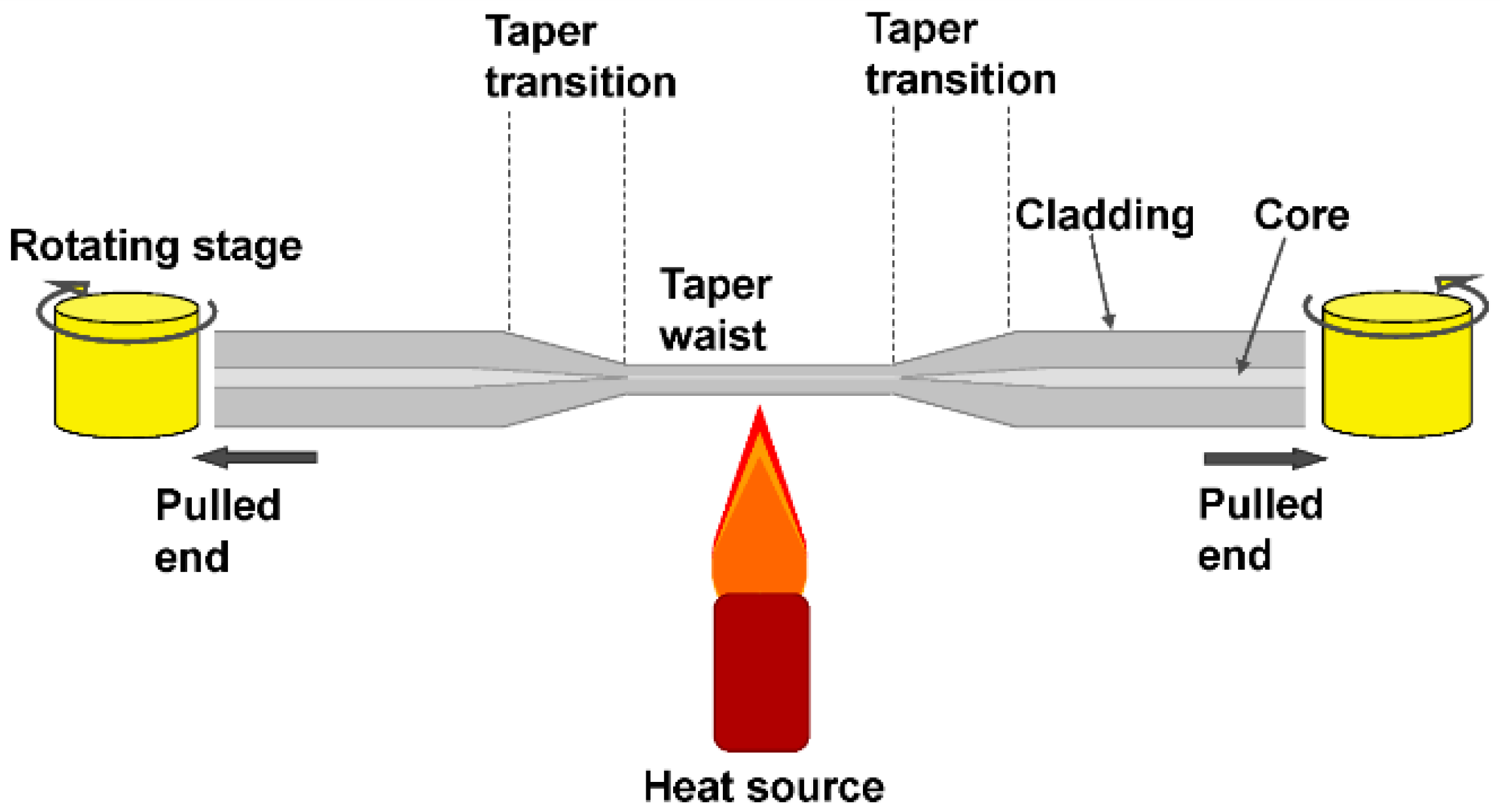 tapered fibers