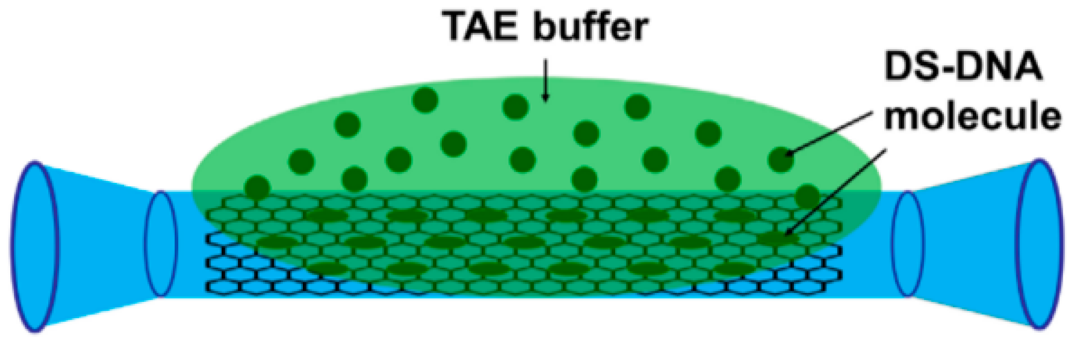 Photonics 11 00414 g002
