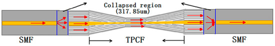 The Structure and Applications of Fused Tapered Fiber Optic Sensing: A ...