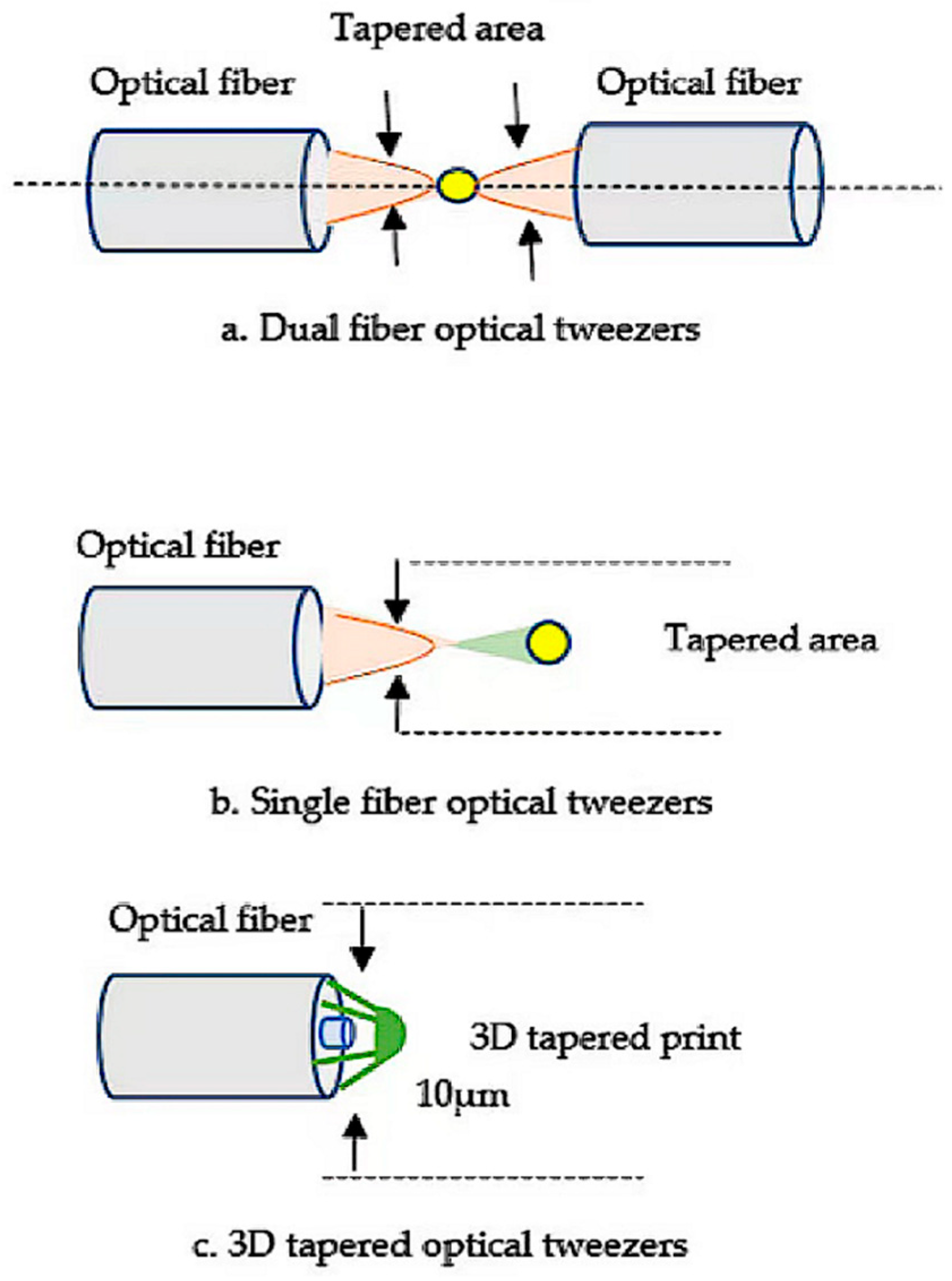 Photonics 11 00414 g010