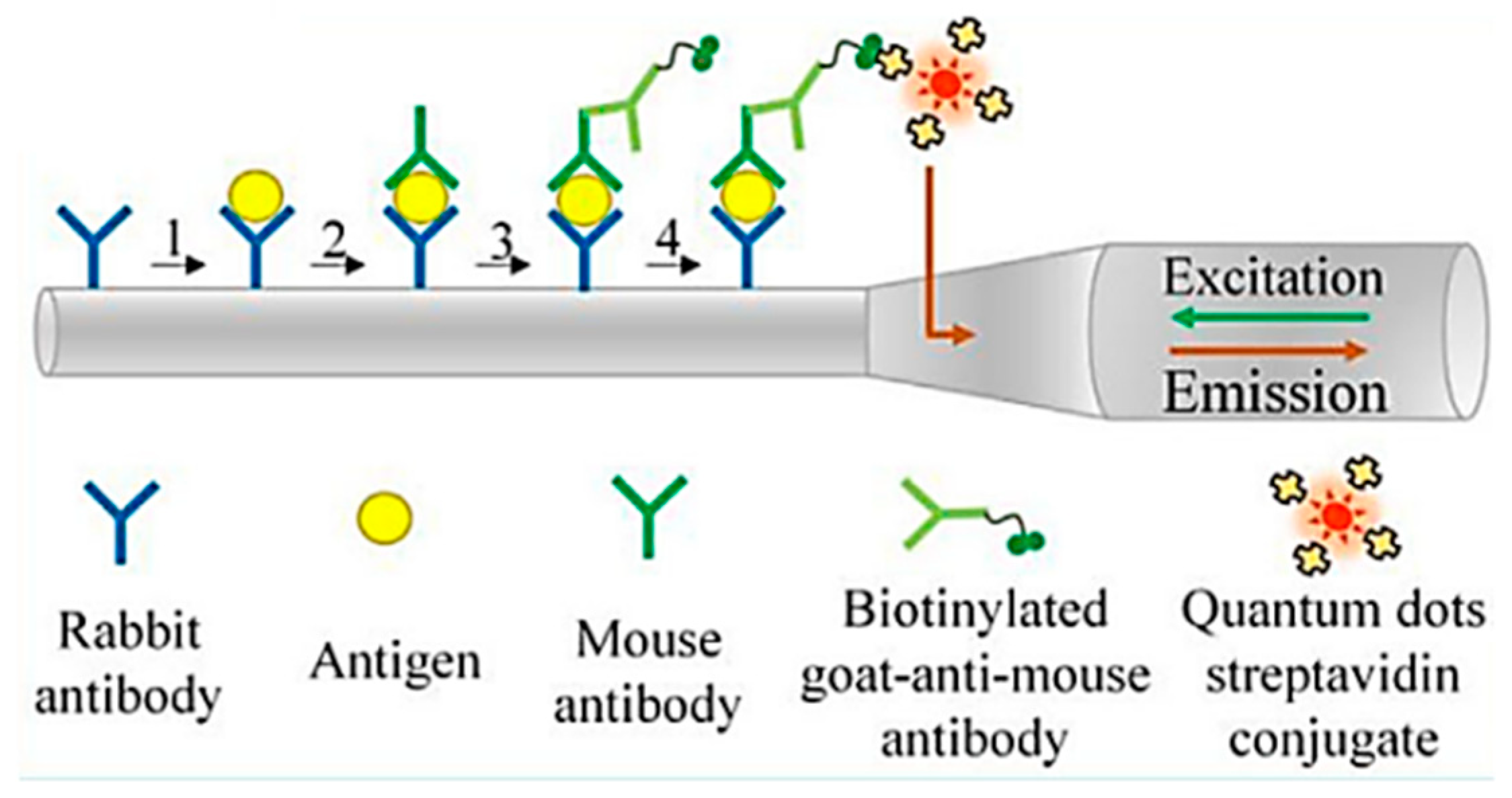 Photonics 11 00414 g018