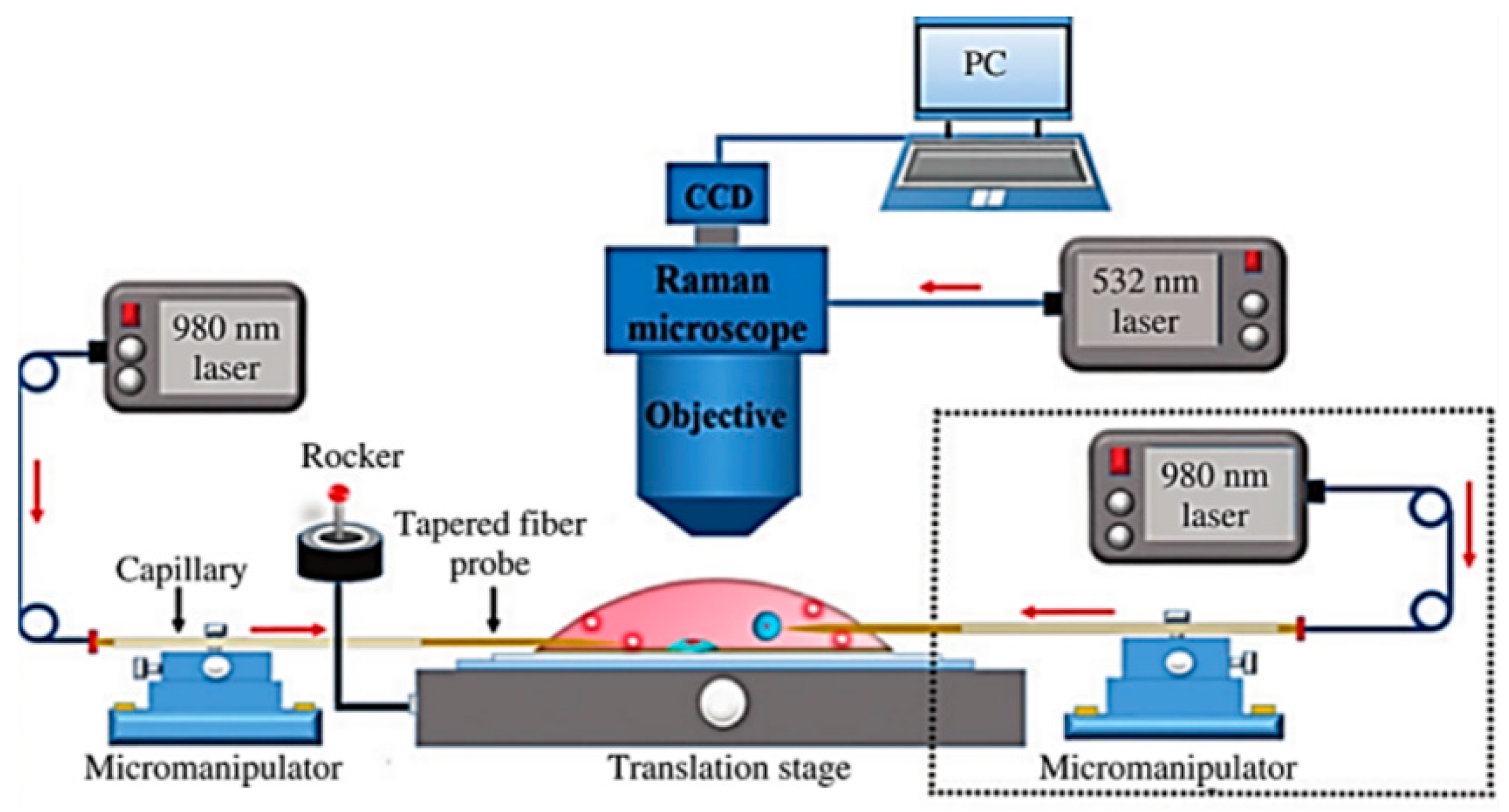 Photonics 11 00414 g019