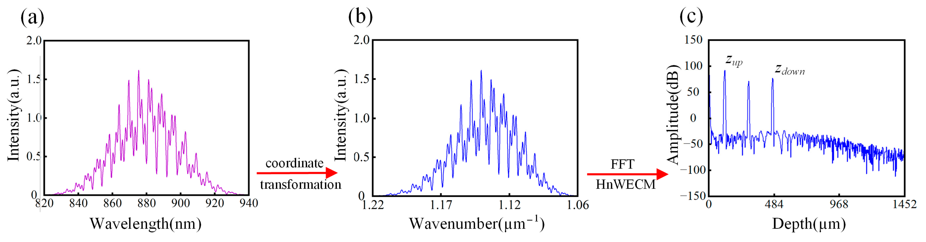 Photonics 11 00422 g003