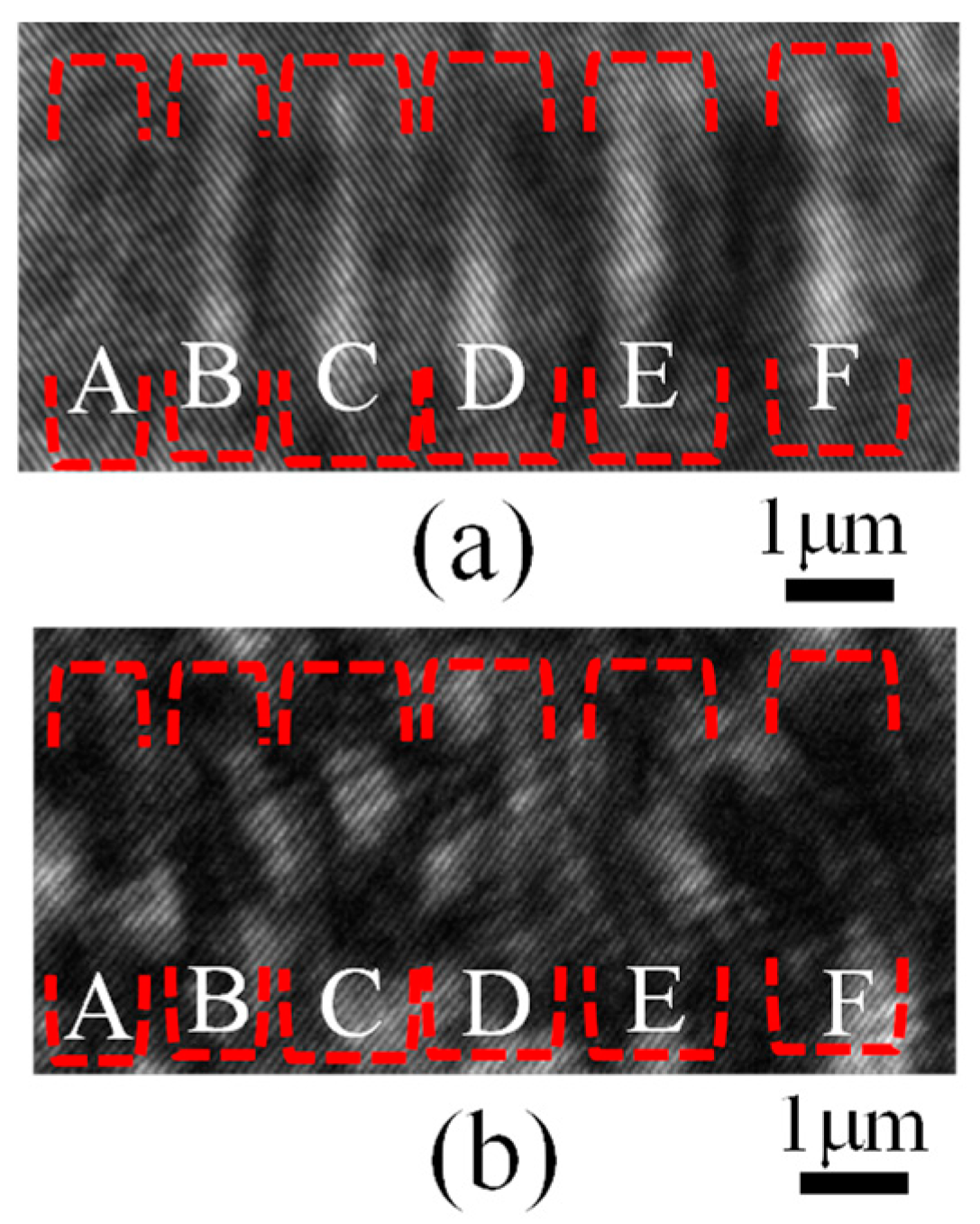 Photonics 11 00427 g008