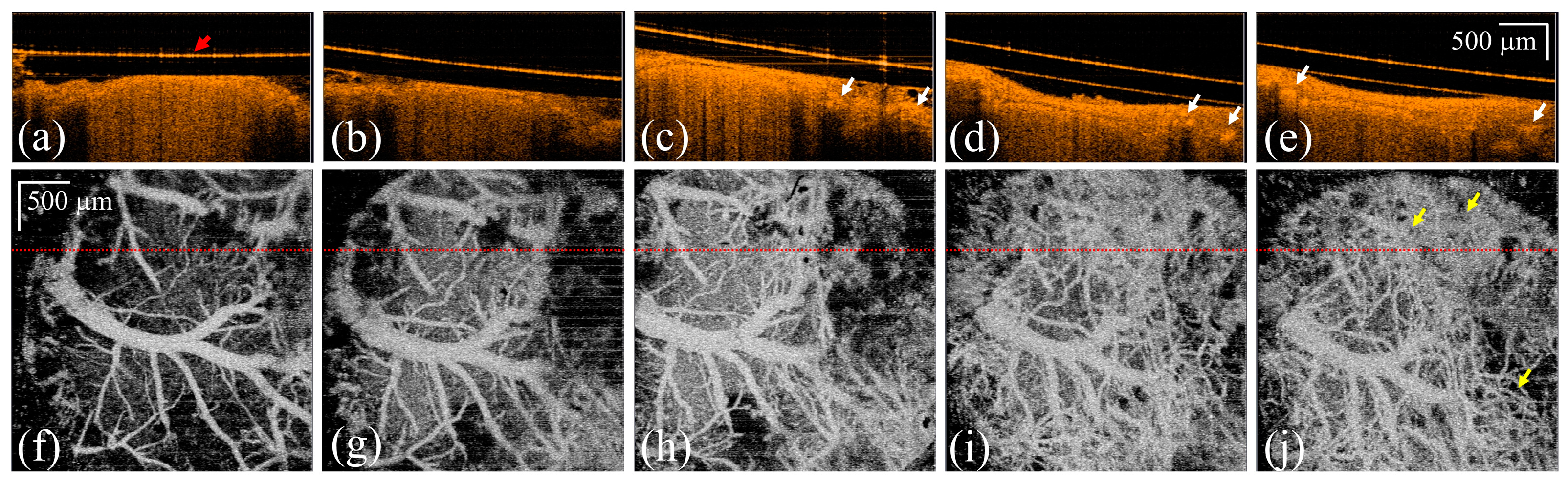 Photonics 11 00435 g002 Photonics 11 00435 g002