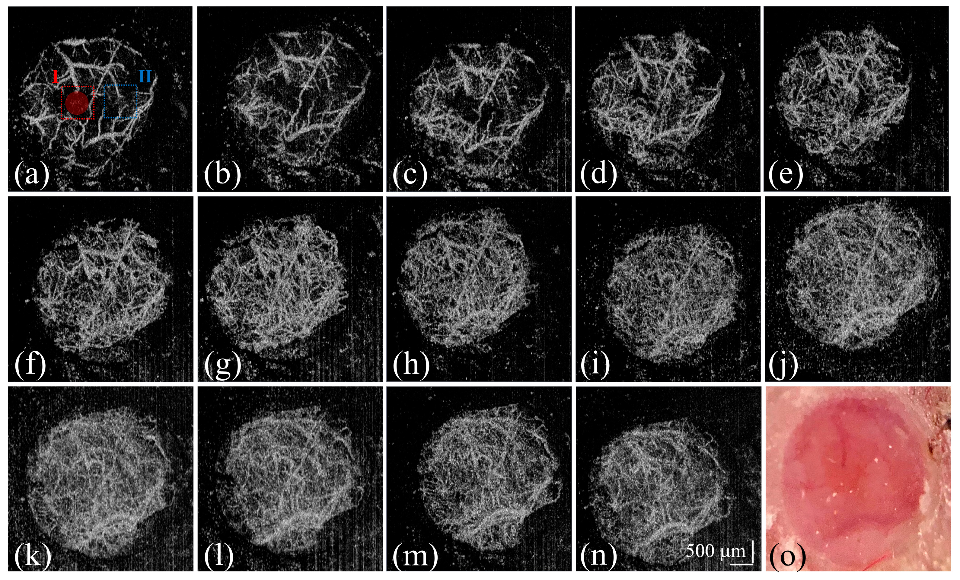 Photonics 11 00435 g005 Photonics 11 00435 g005