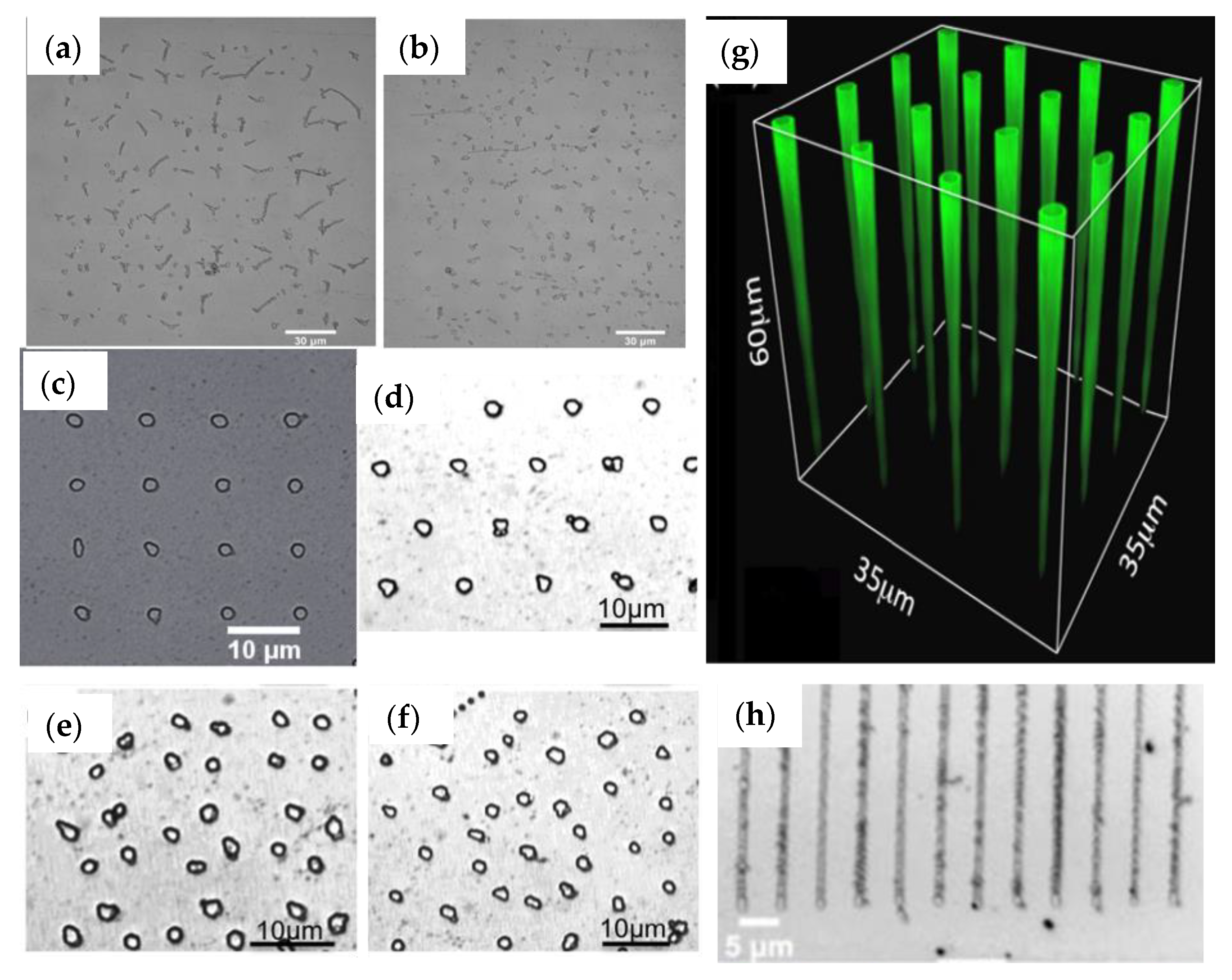 Photonics 11 00447 g003