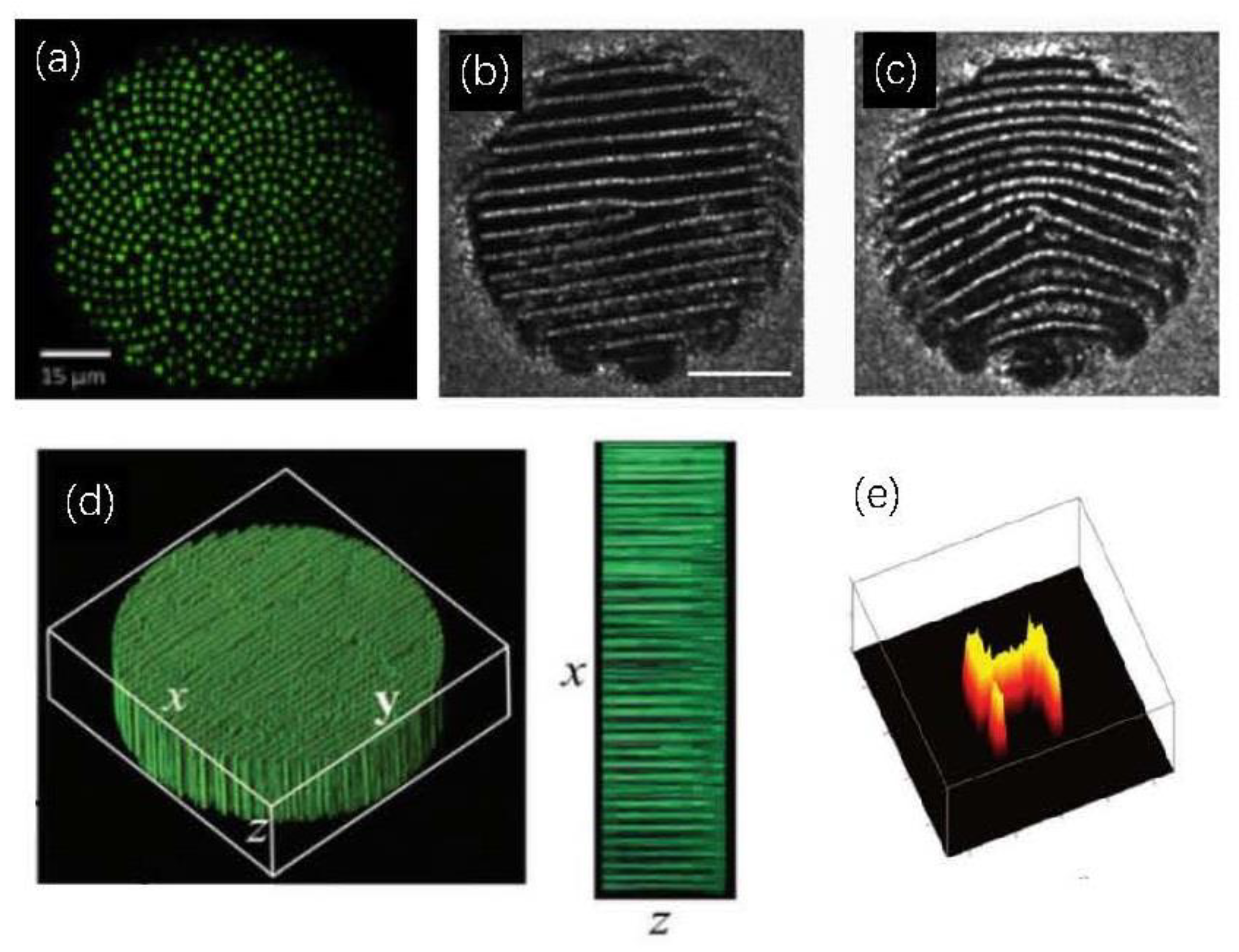 Photonics 11 00447 g004