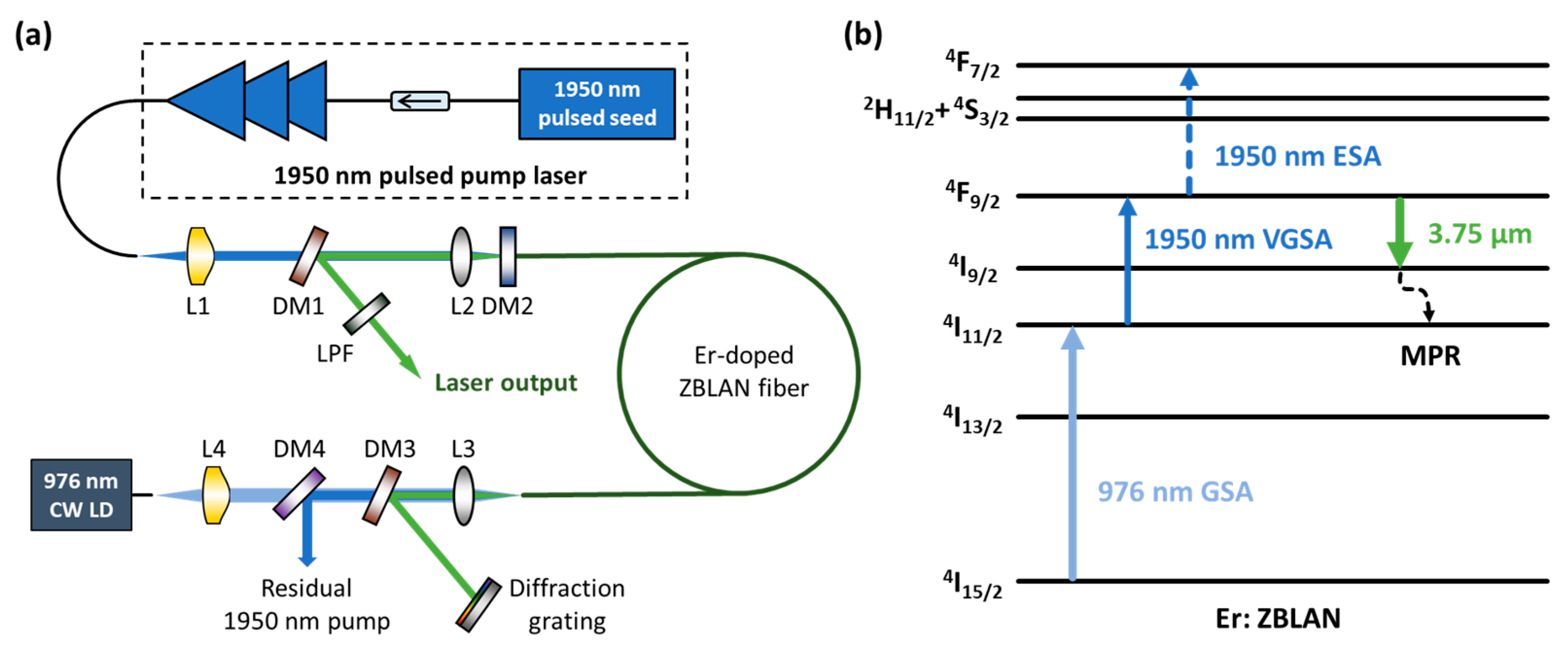 Self-Terminating Laser Transitions