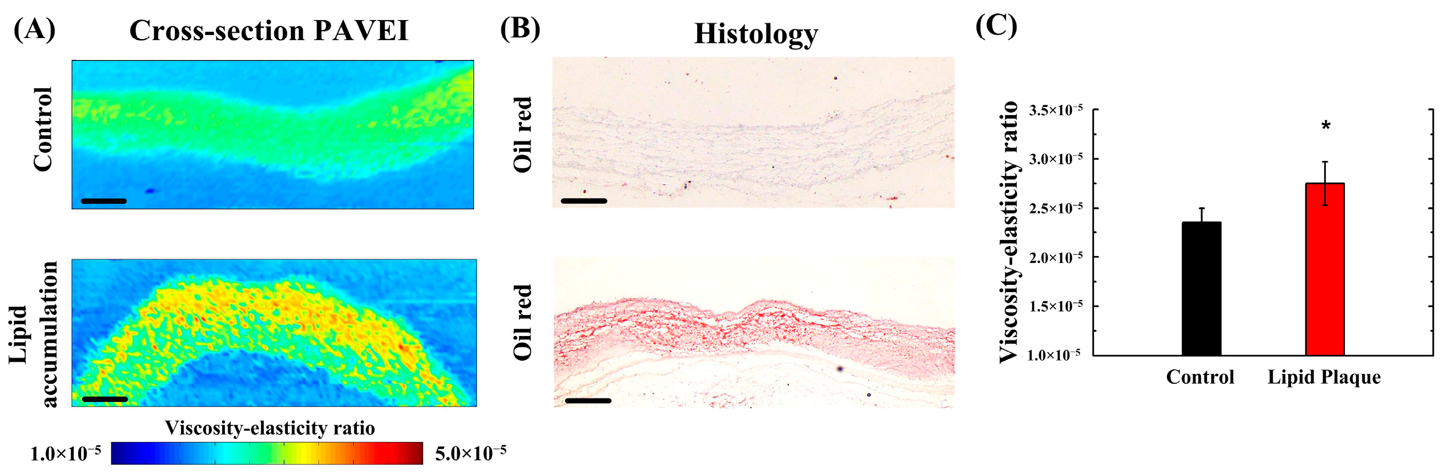 Photonics 11 00471 g004