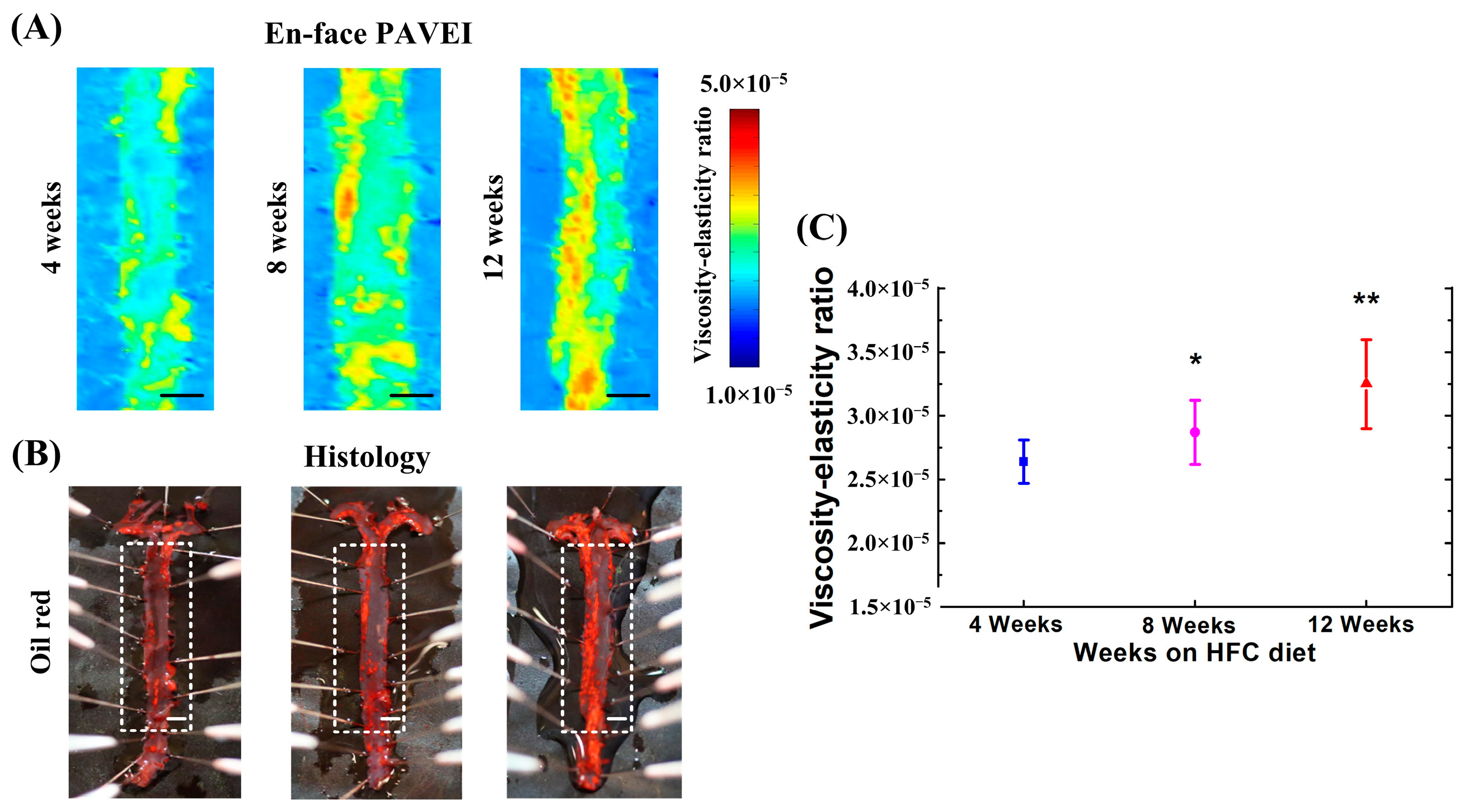 Photonics 11 00471 g005
