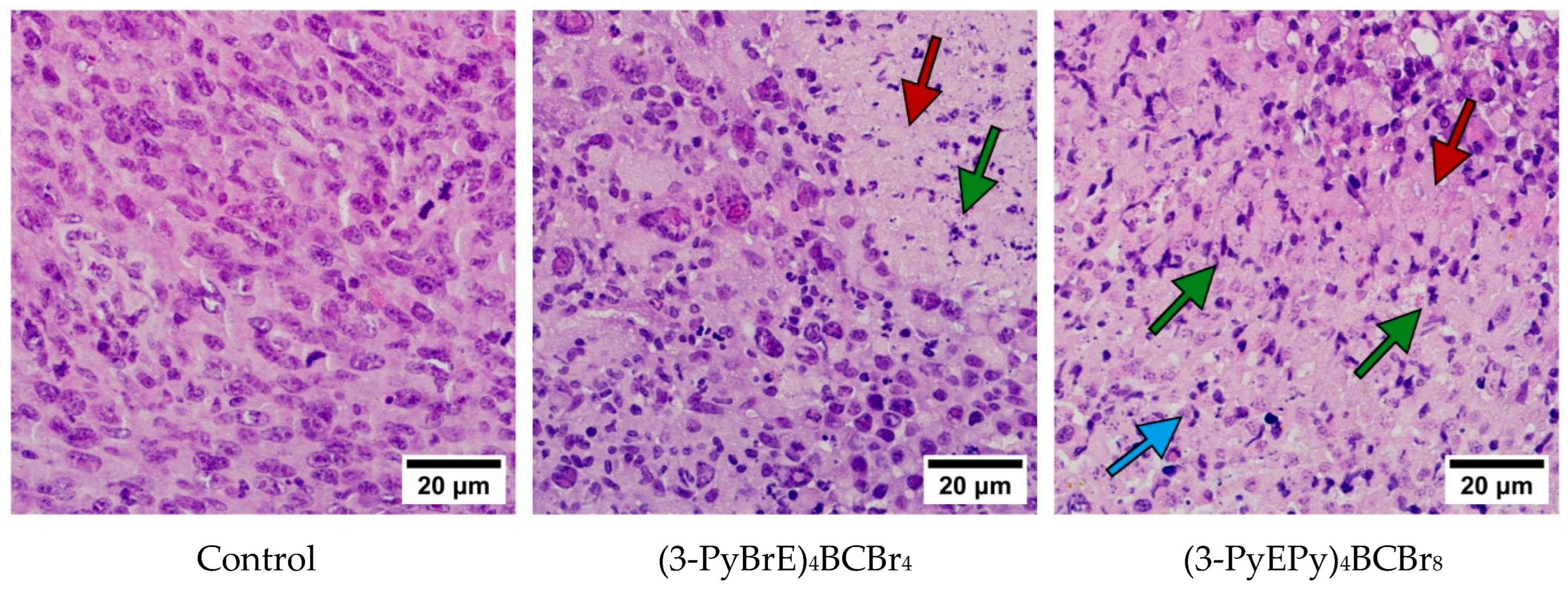 Photonics 11 00485 g001 Photonics 11 00485 g001