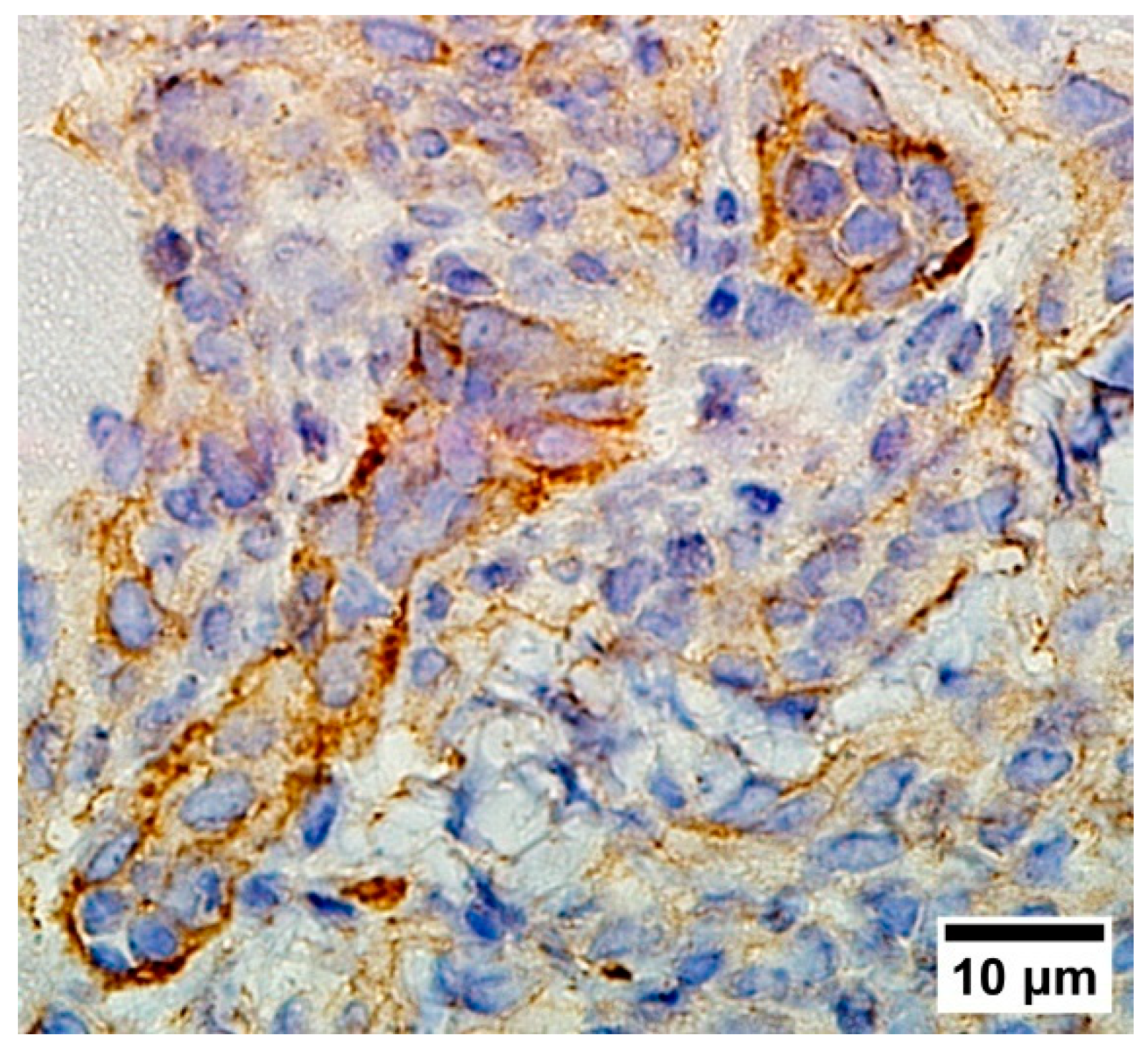 Photonics 11 00485 g005 Photonics 11 00485 g005
