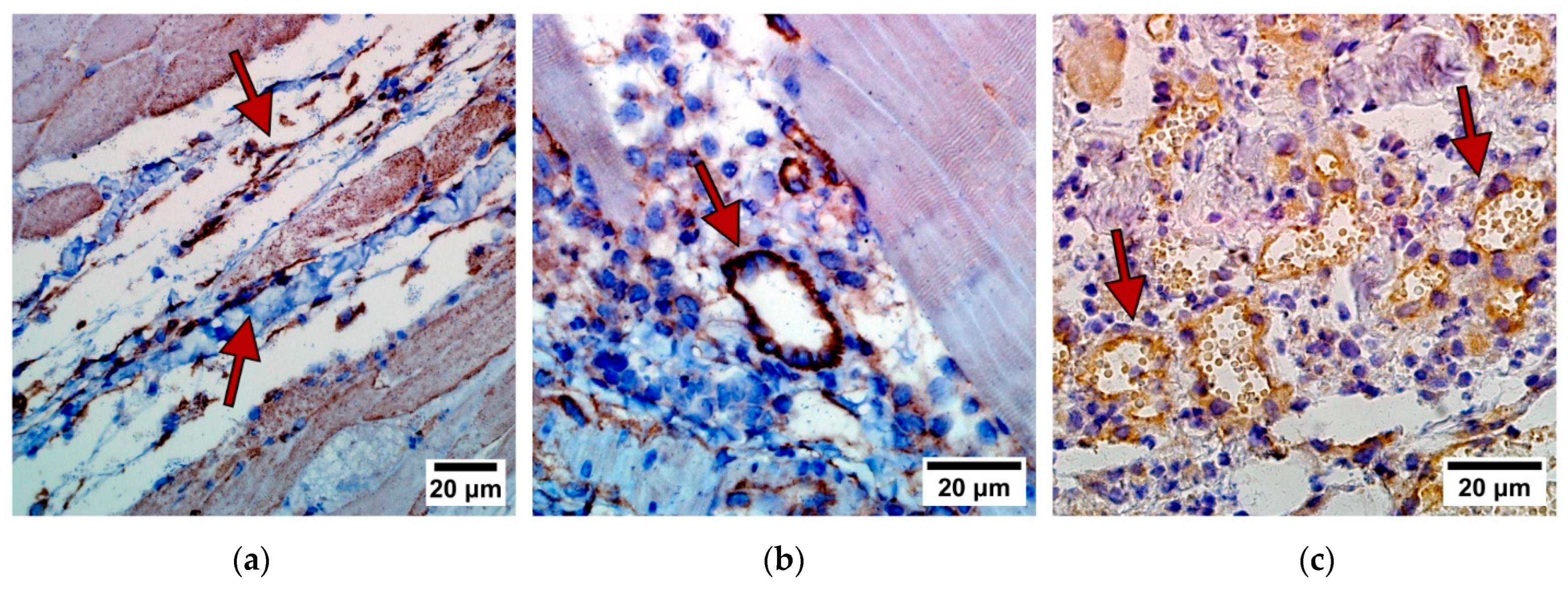 Photonics 11 00485 g007 Photonics 11 00485 g007