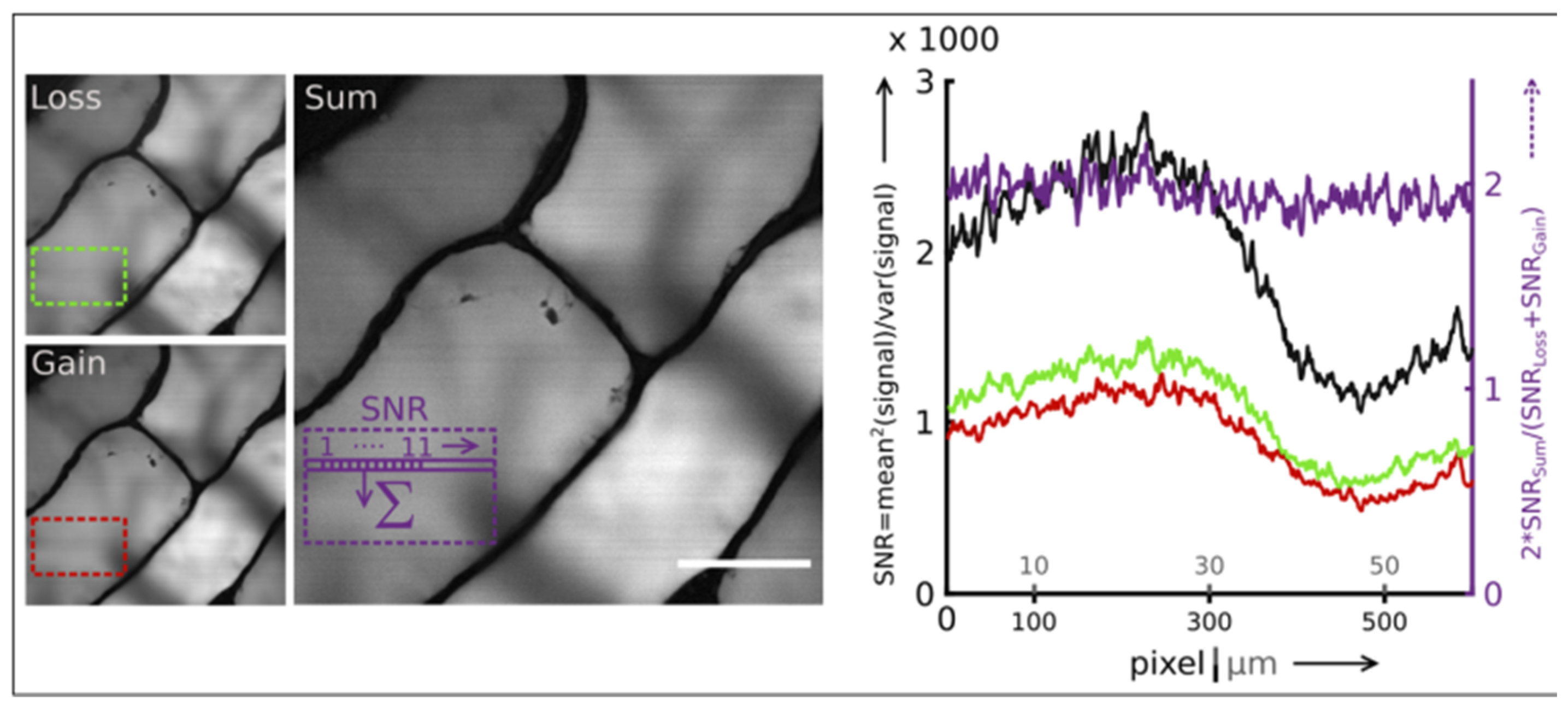 Photonics 11 00489 g002