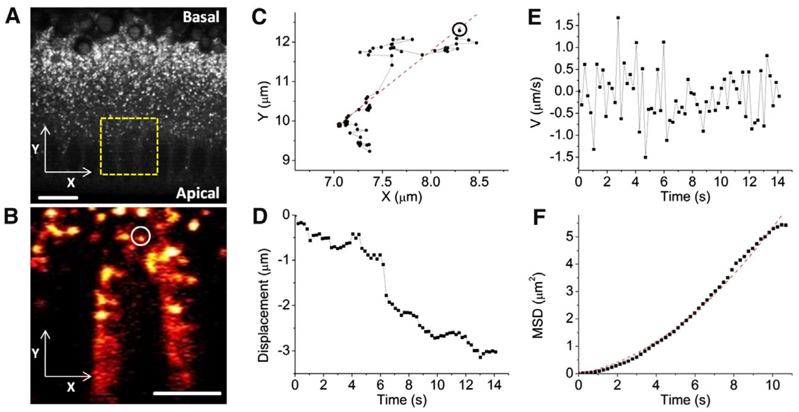 Photonics 11 00489 g005