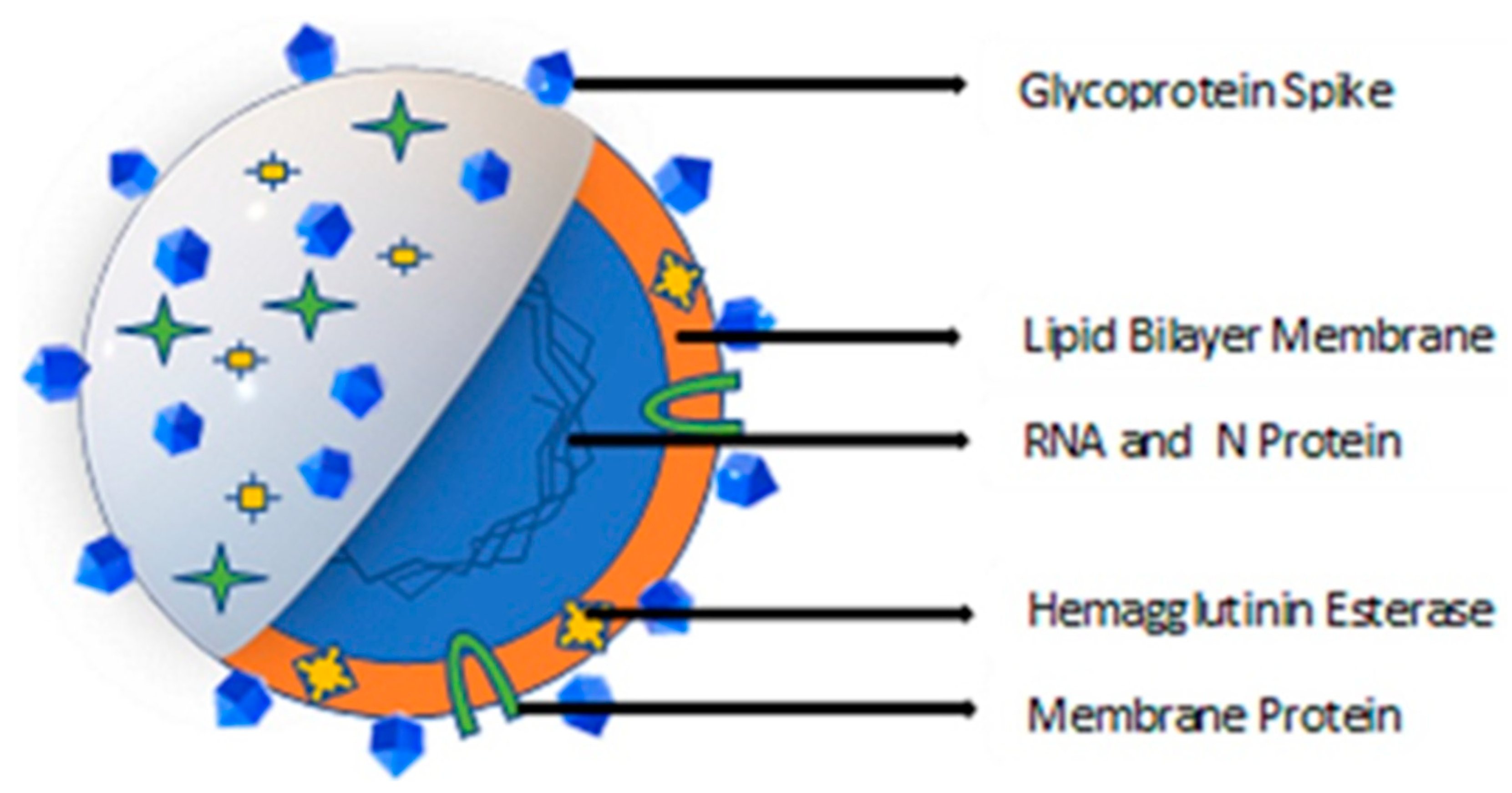 Photonics 11 00491 g025