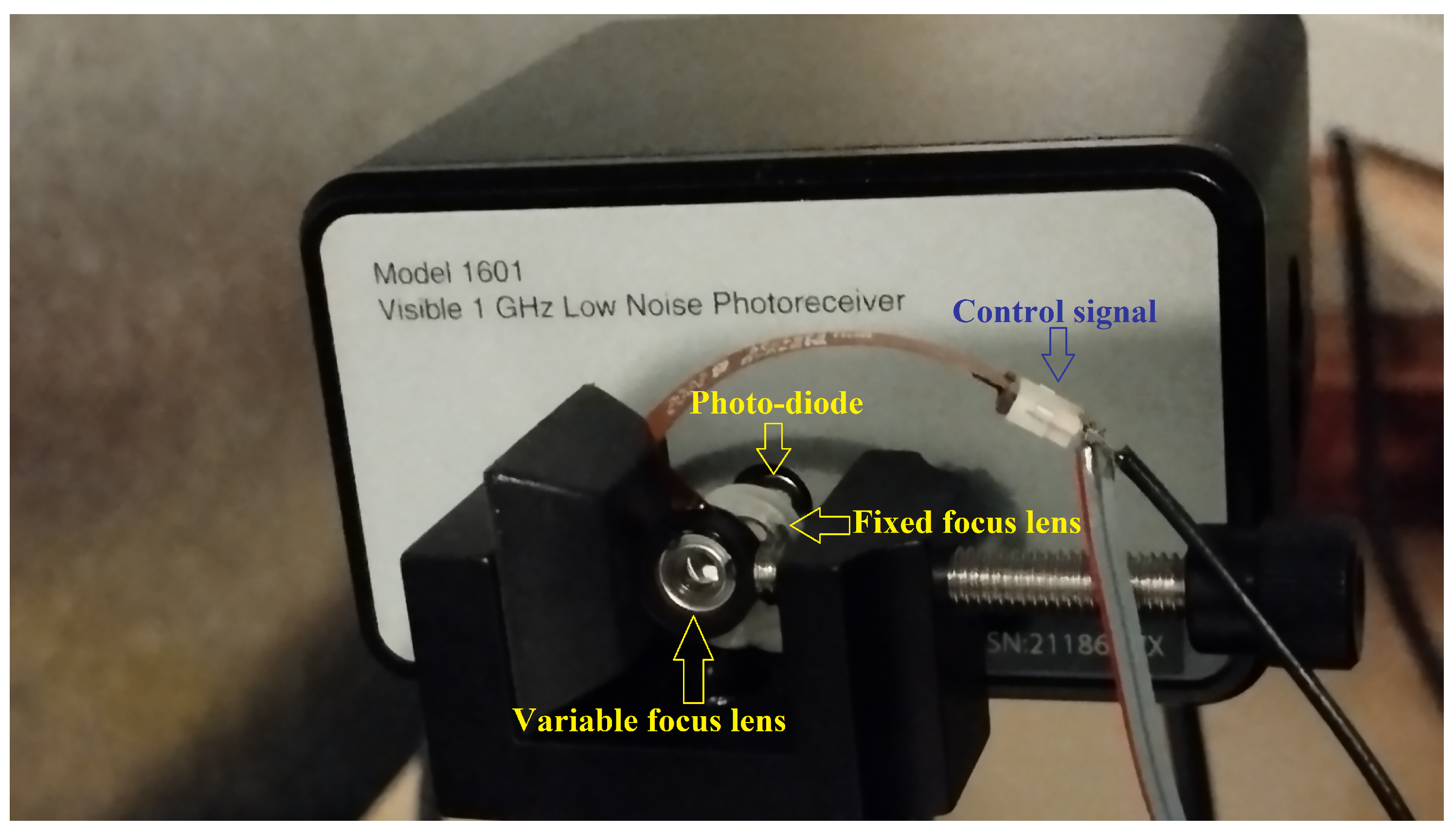 Photonics 11 00506 g013