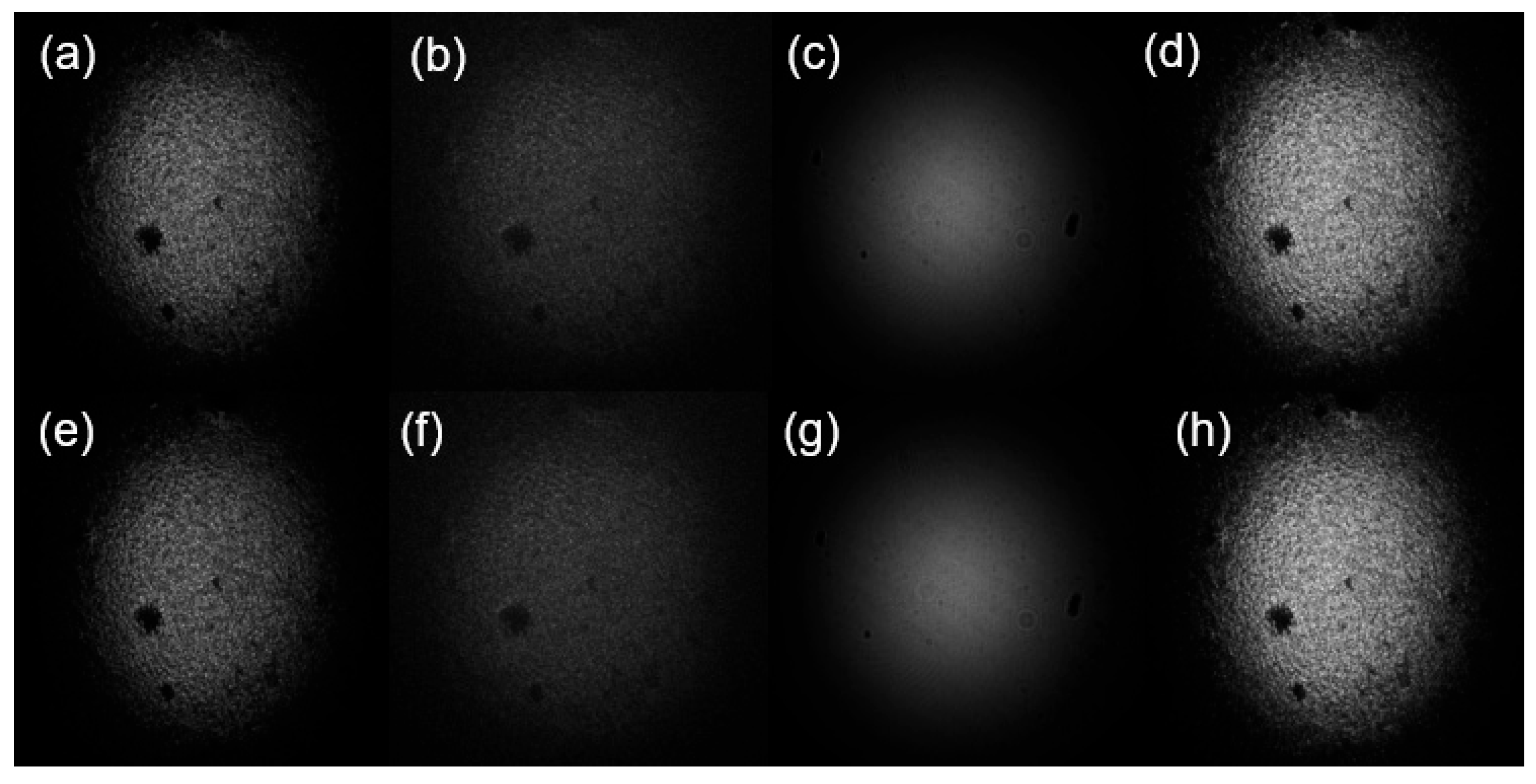 Photonics 11 00518 g003