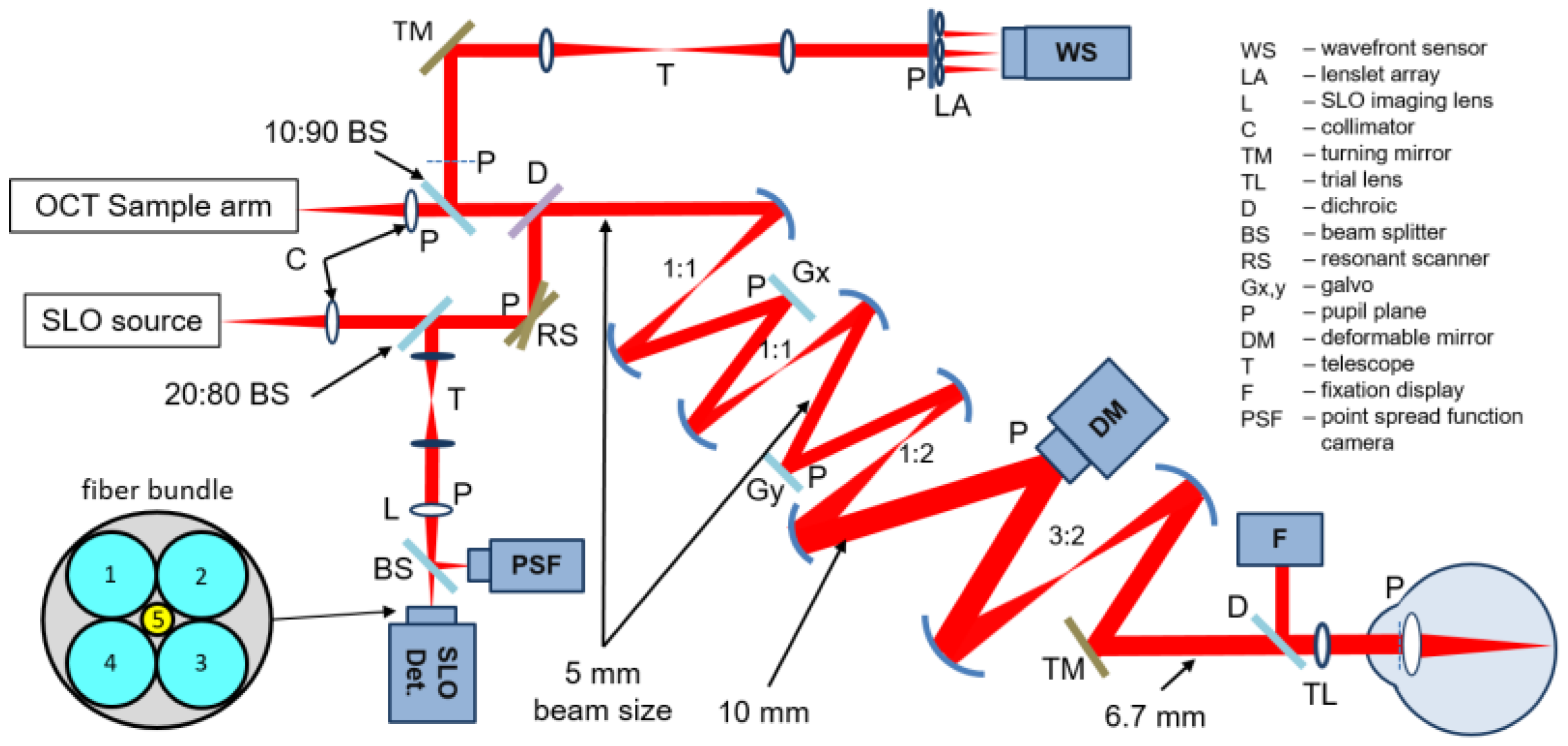 Photonics 11 00522 g005