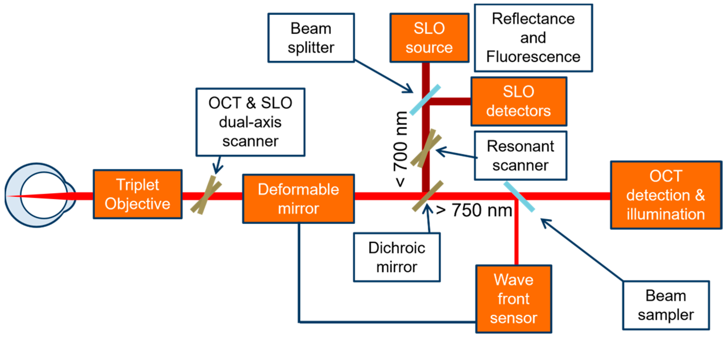 Photonics 11 00522 g006