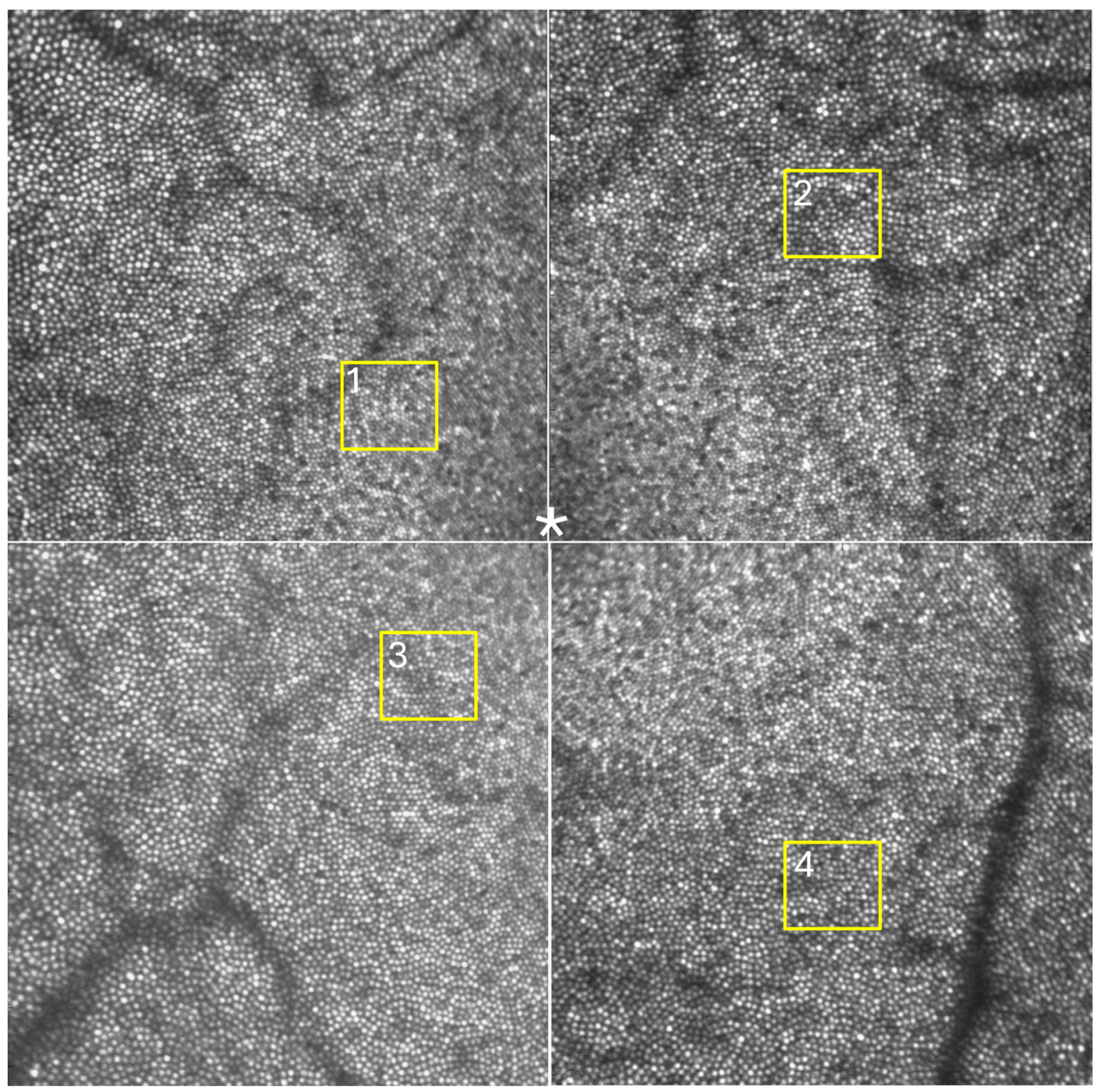 Photonics 11 00522 g008