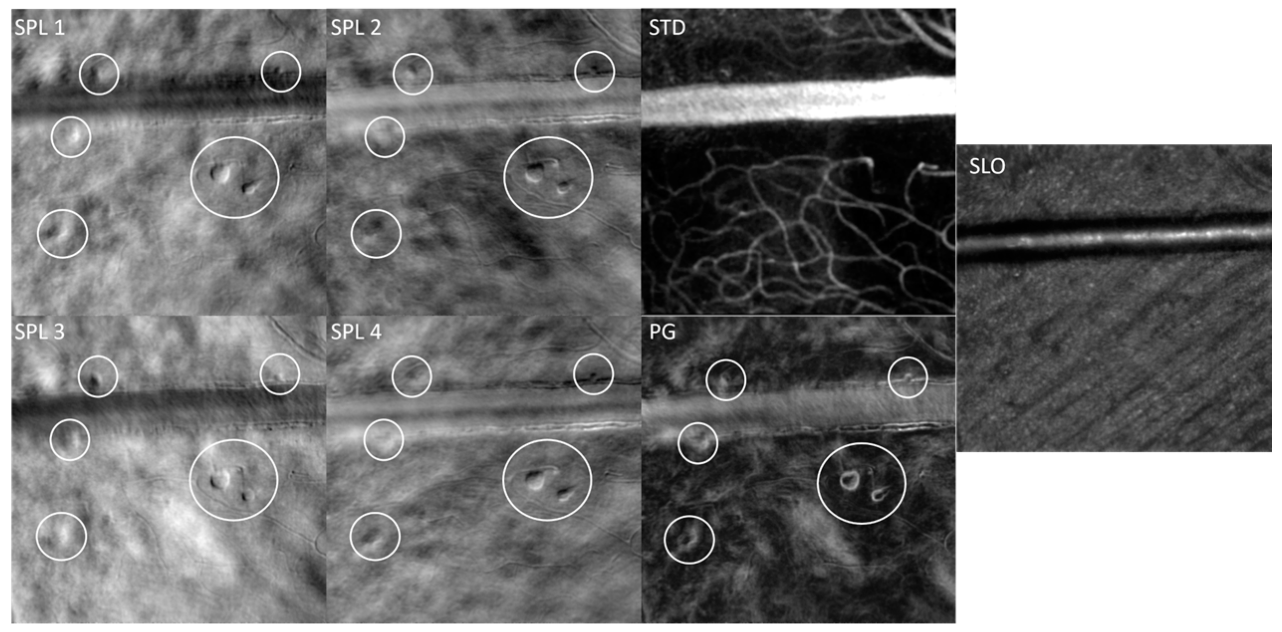 Photonics 11 00522 g011