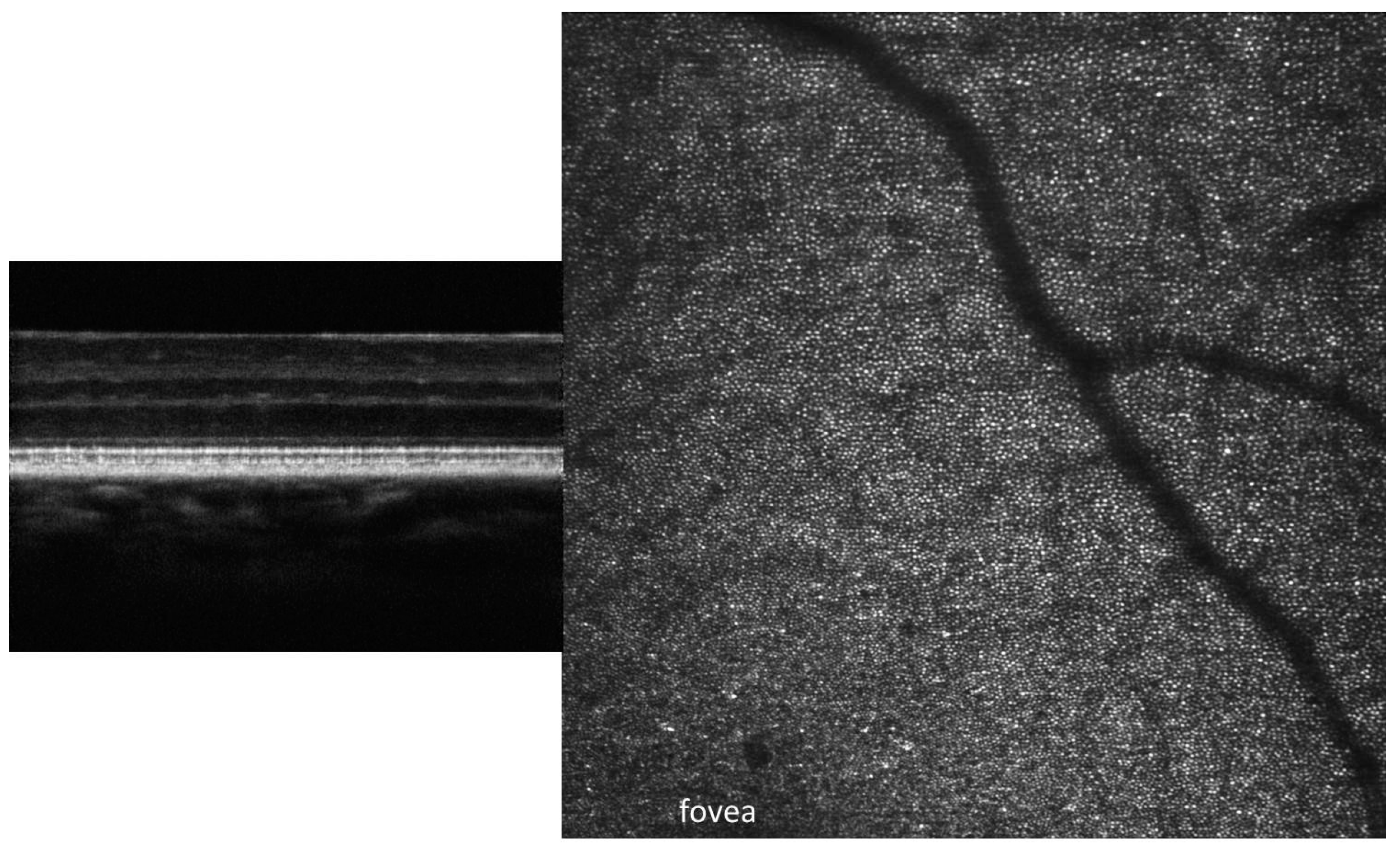 Photonics 11 00522 g014