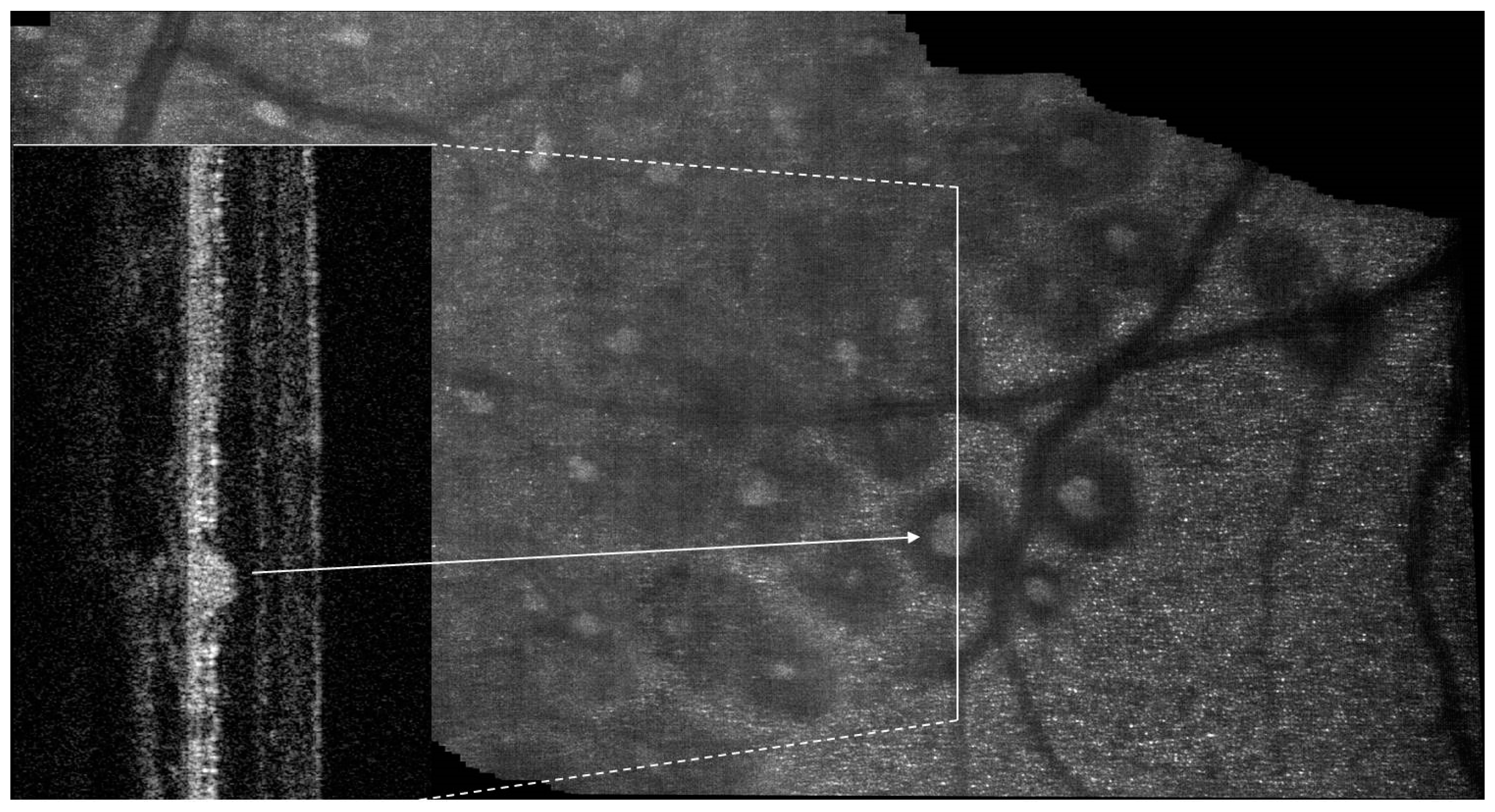 Photonics 11 00522 g015